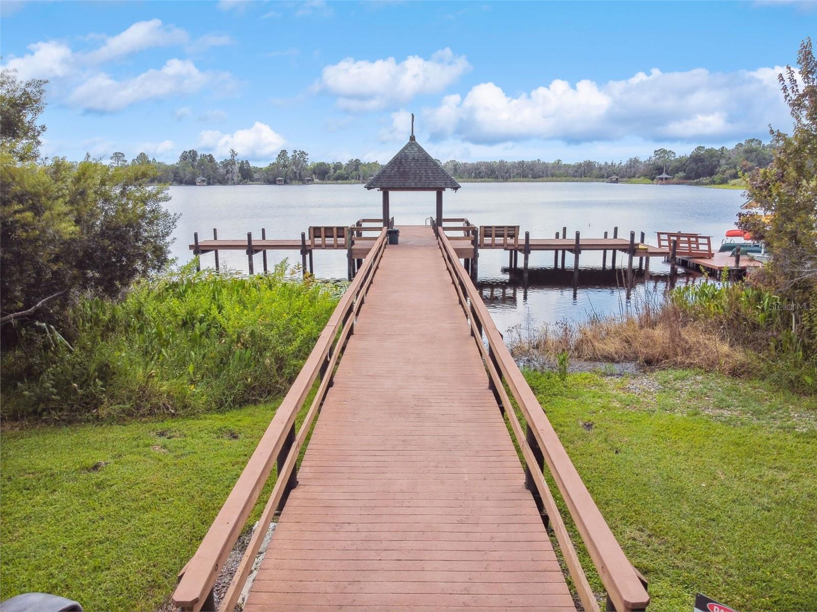 21753 GARDEN WALK LOOP, LAND O LAKES, FL — photo 51