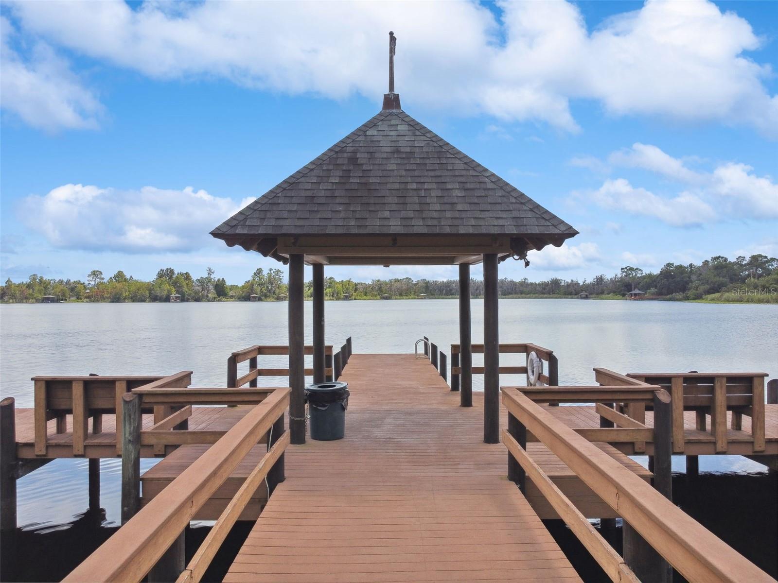 21753 GARDEN WALK LOOP, LAND O LAKES, FL — photo 52