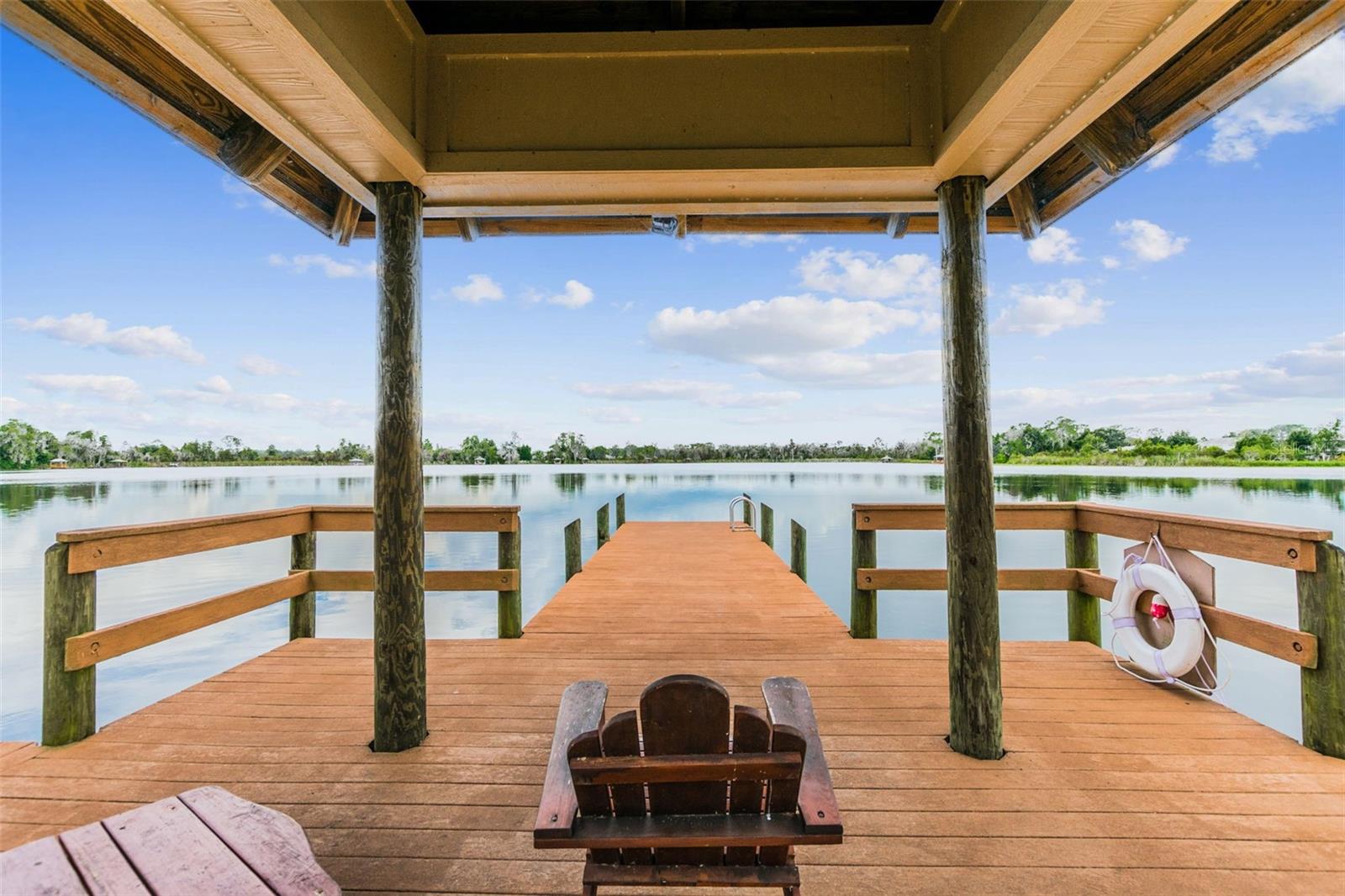 21753 GARDEN WALK LOOP, LAND O LAKES, FL — photo 53