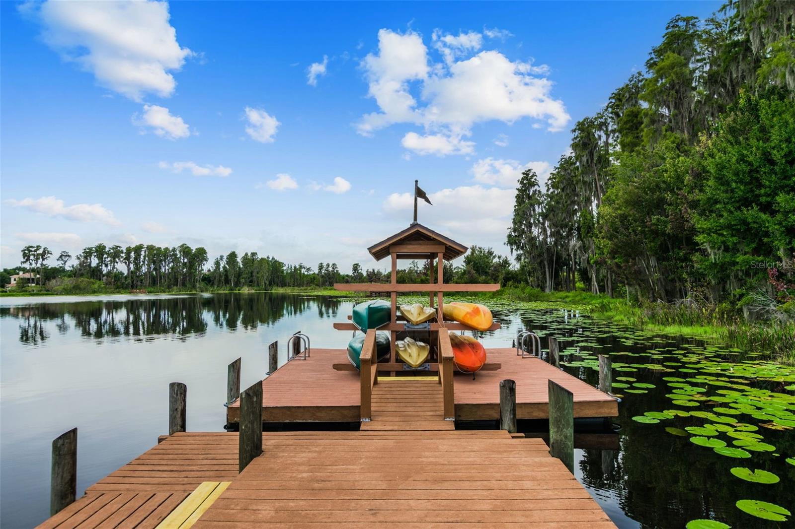 21753 GARDEN WALK LOOP, LAND O LAKES, FL — photo 54