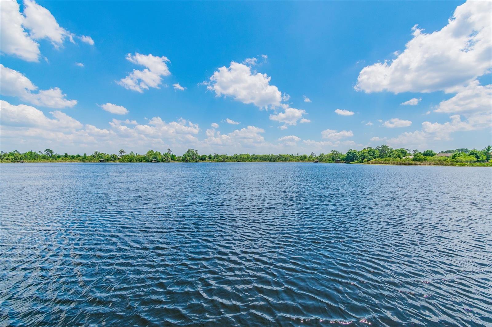 21753 GARDEN WALK LOOP, LAND O LAKES, FL — photo 56
