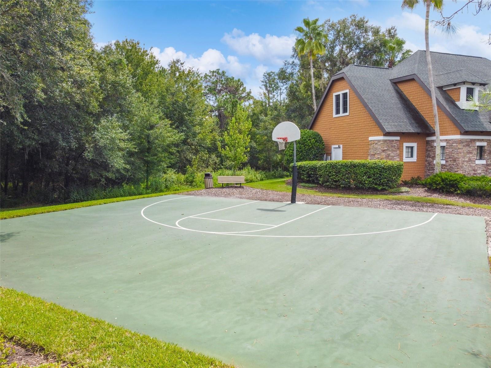 21753 GARDEN WALK LOOP, LAND O LAKES, FL — photo 61