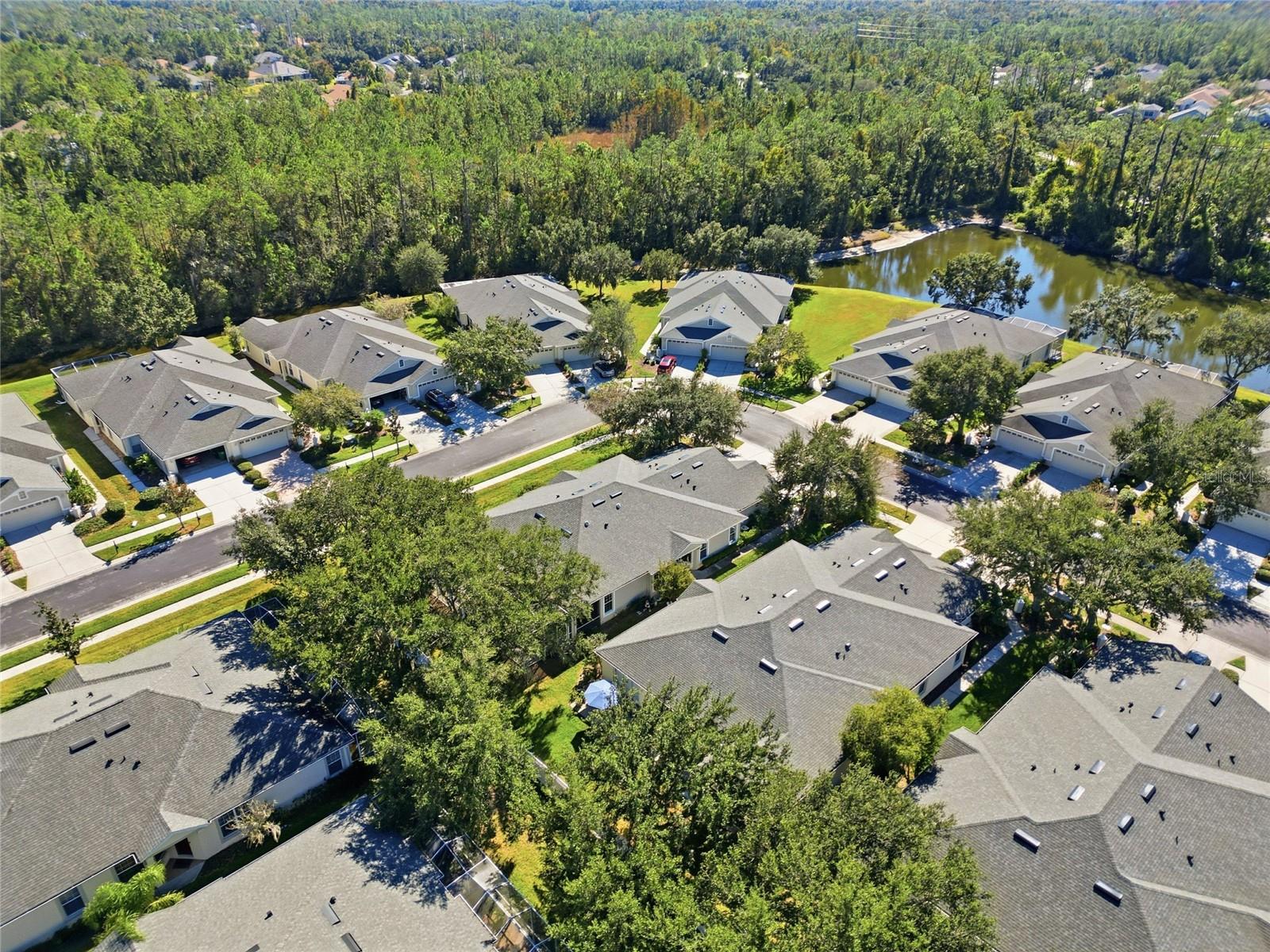 3343 CHAPEL CREEK CIR, WESLEY CHAPEL, FL — photo 31