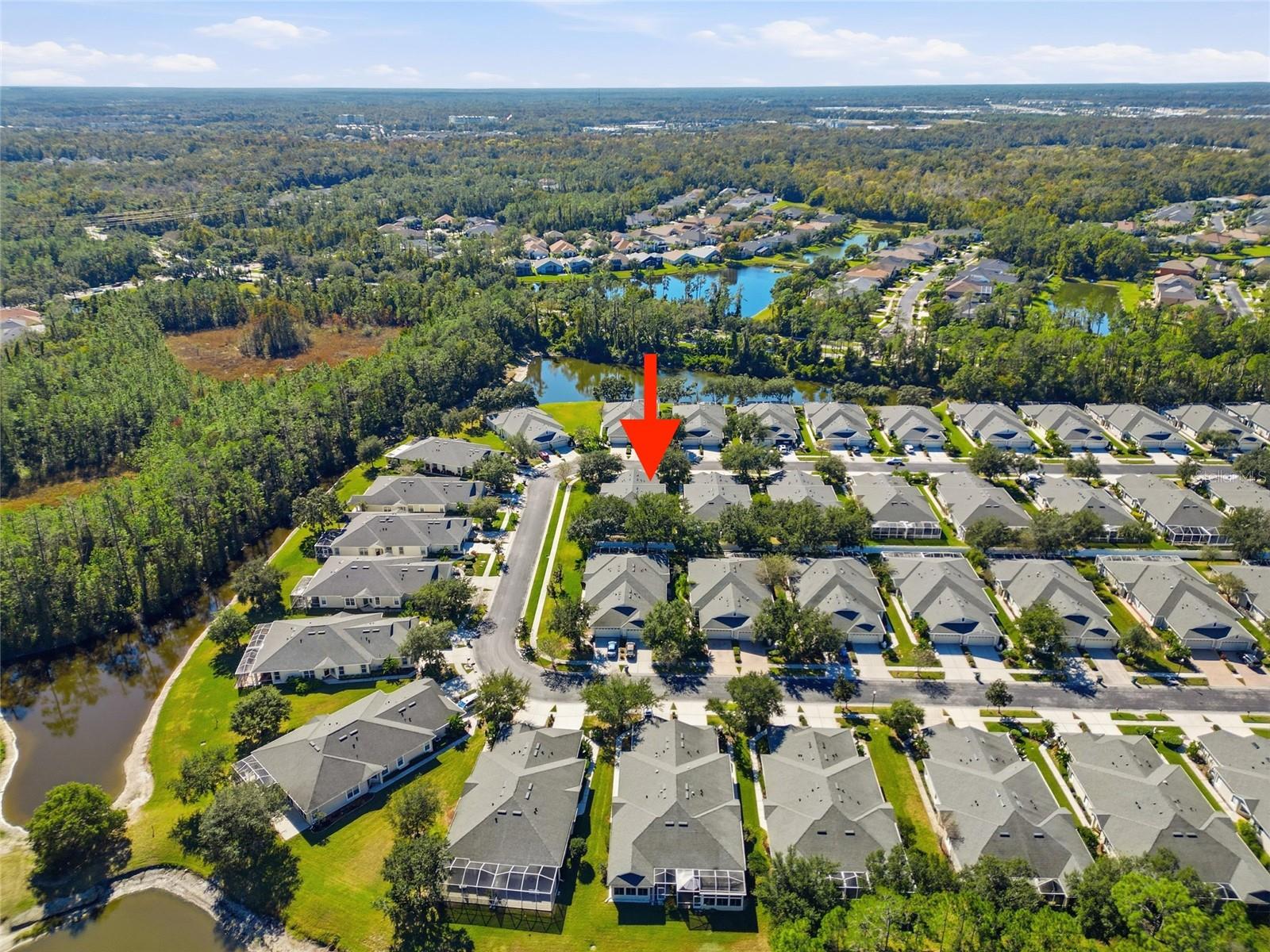 3343 CHAPEL CREEK CIR, WESLEY CHAPEL, FL — photo 34