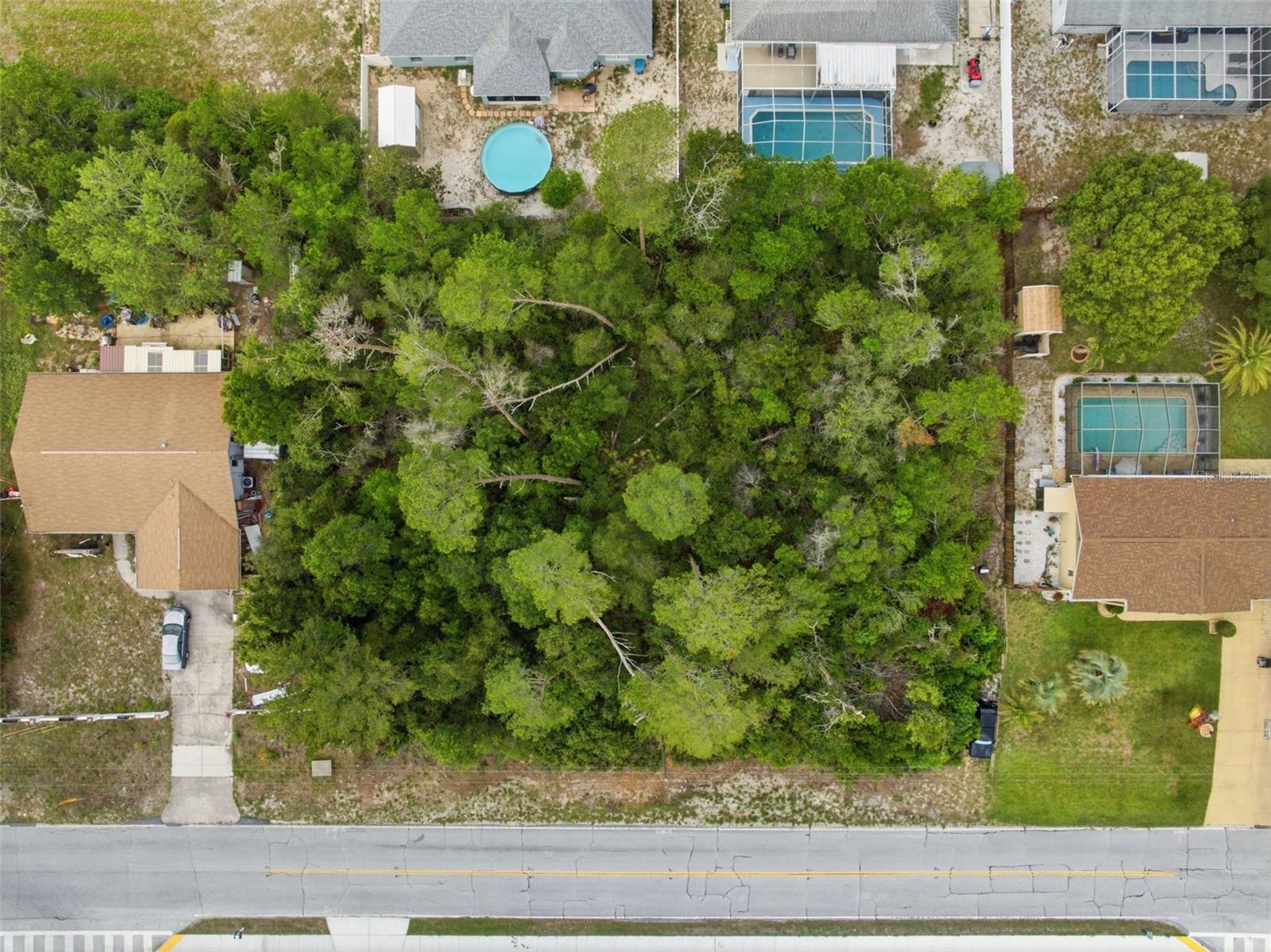 6011 FREEPORT DR, SPRING HILL, FL — photo 6