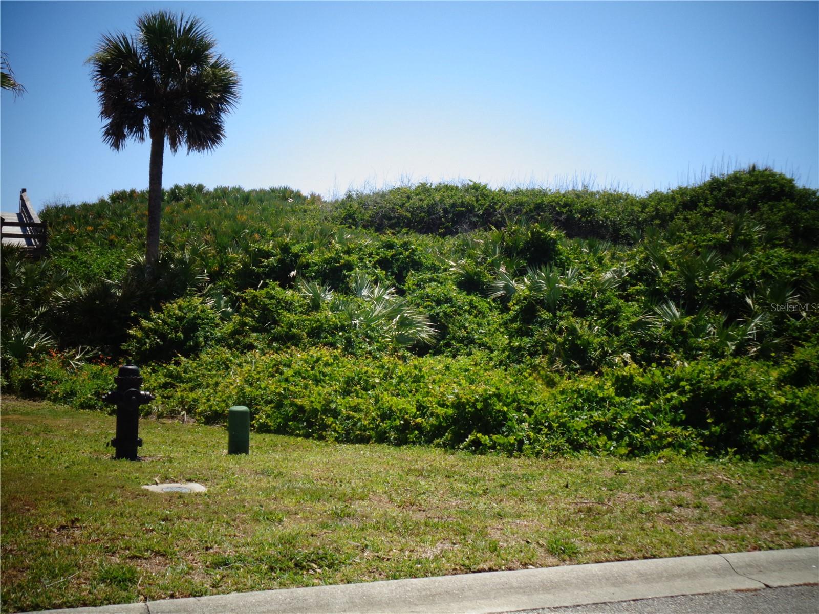 73 CALLE DEL SUR #Lot 50, PALM COAST, FL — photo 19