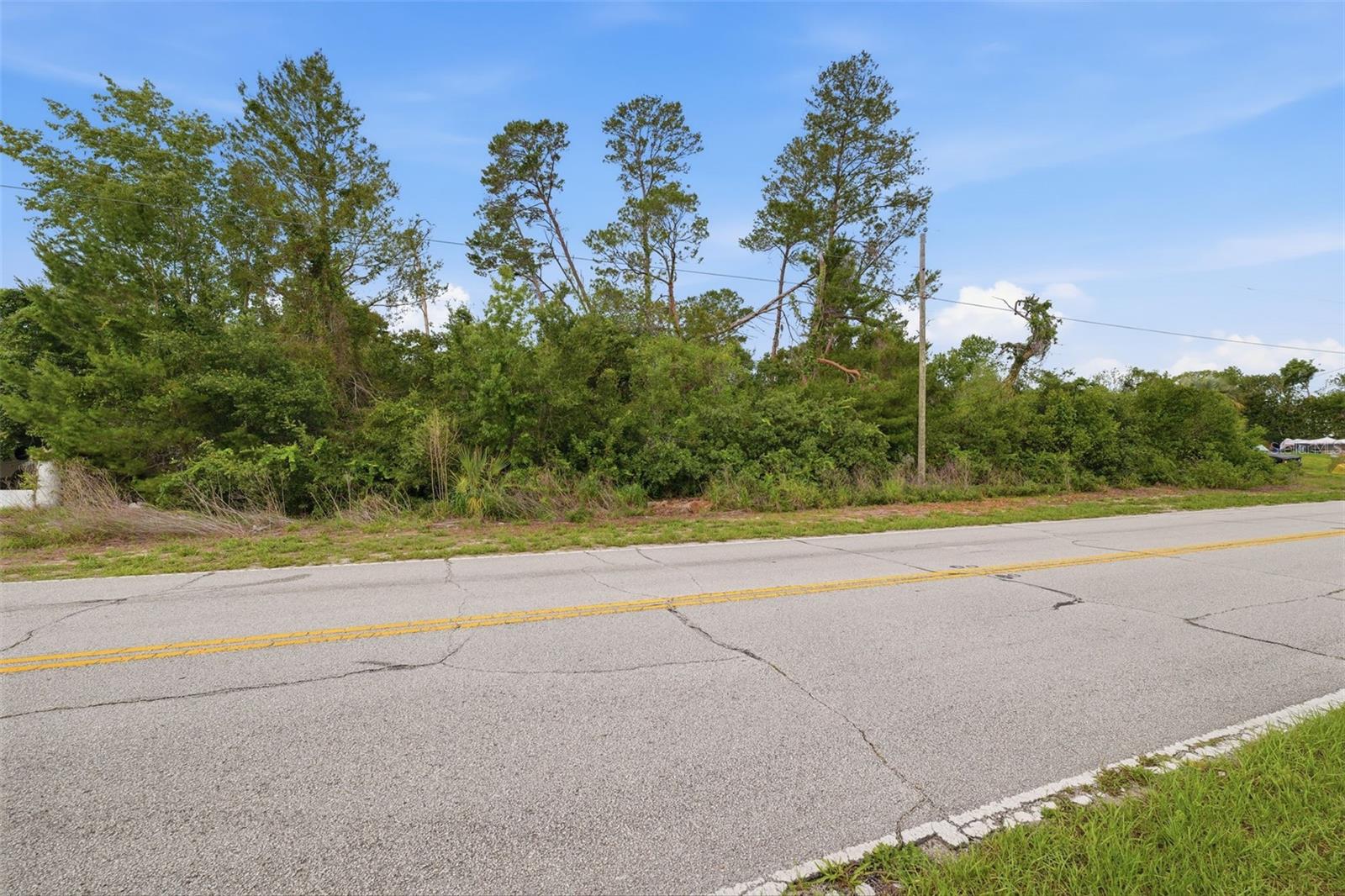 6019 FREEPORT DR, SPRING HILL, FL — photo 9