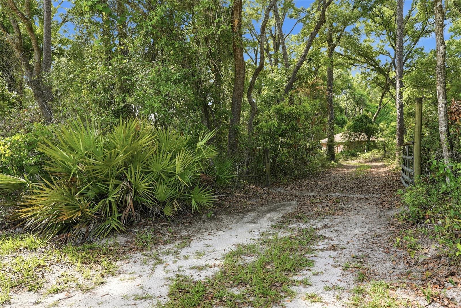 9291 NW 127TH PL, CHIEFLAND, FL — photo 5