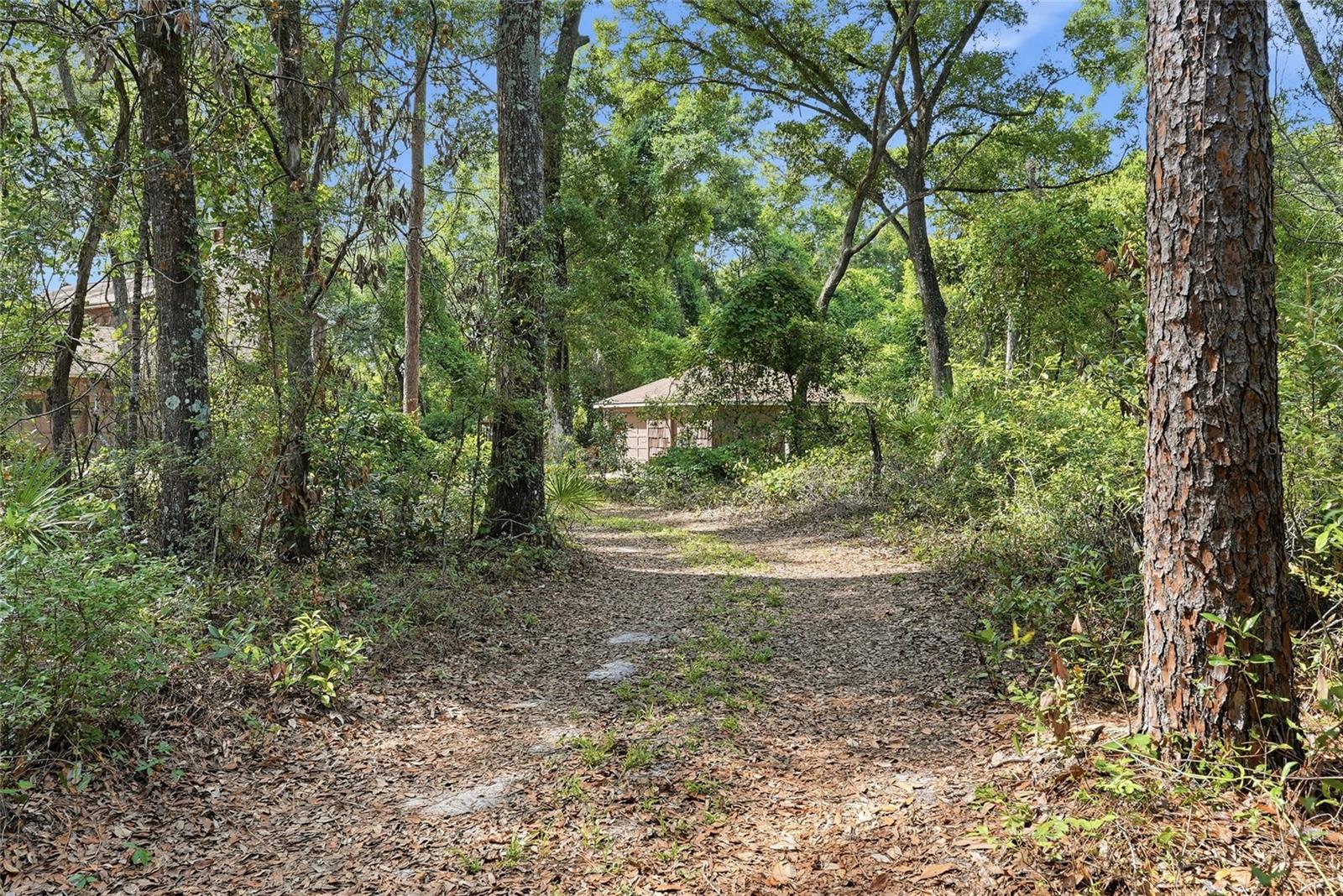 9291 NW 127TH PL, CHIEFLAND, FL — photo 6