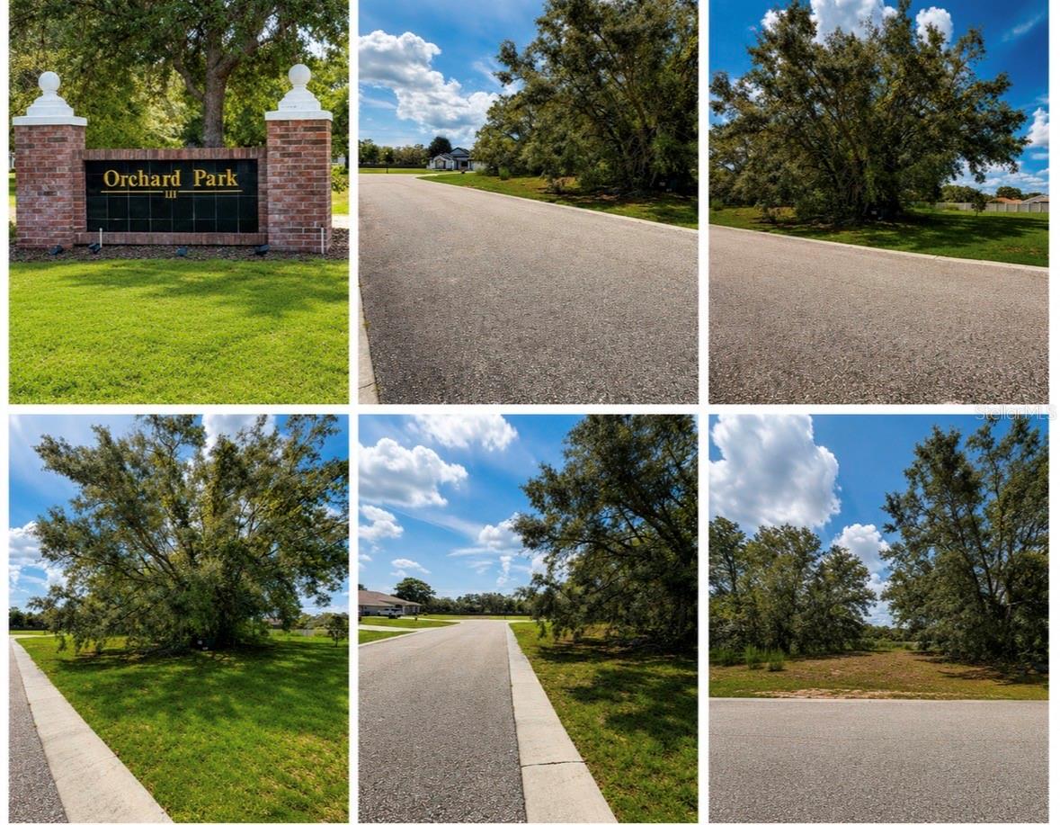 9925 REINDEER CT, SPRING HILL, FL