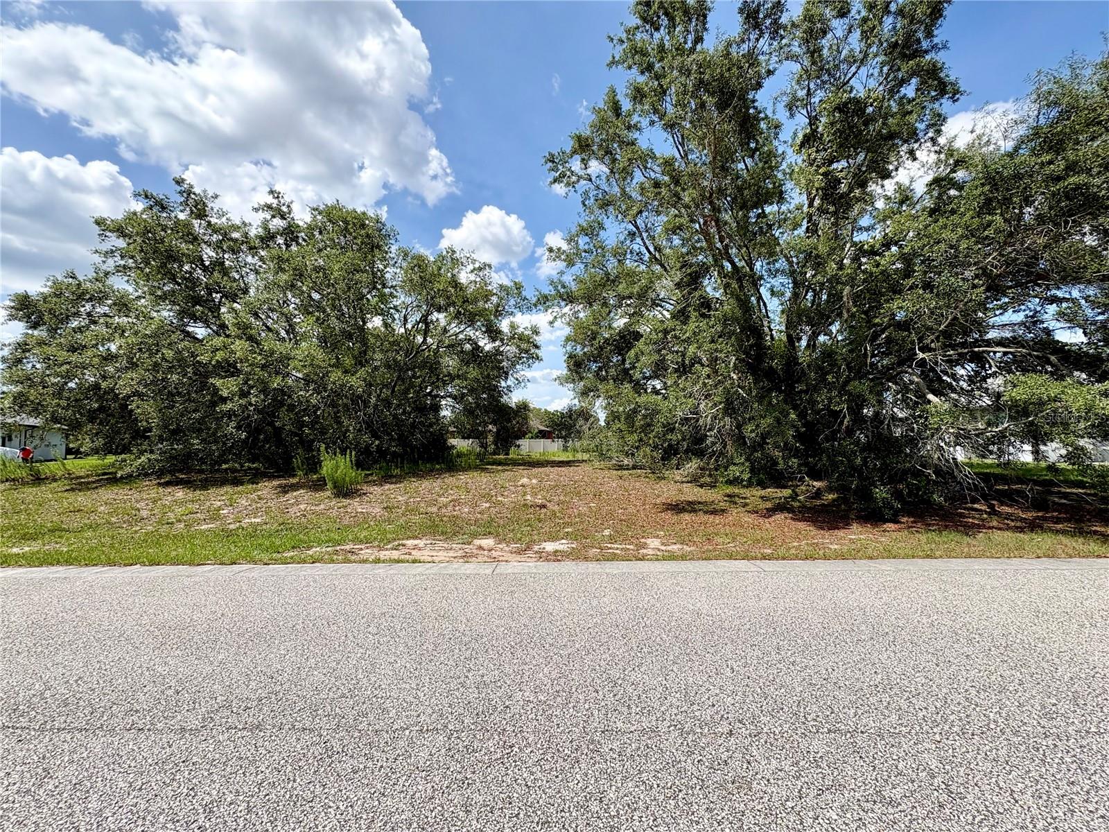 9925 REINDEER CT, SPRING HILL, FL — photo 4
