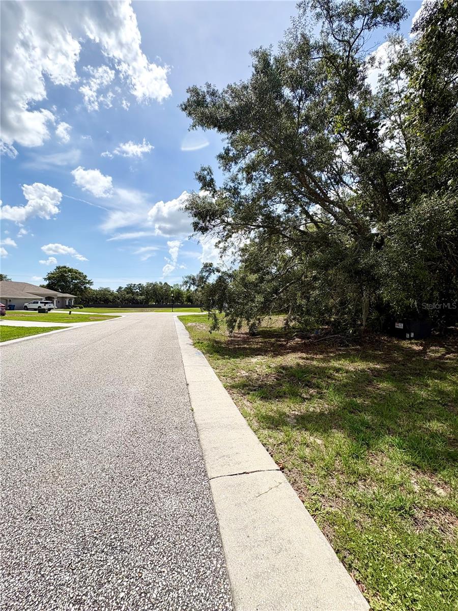 9925 REINDEER CT, SPRING HILL, FL — photo 6
