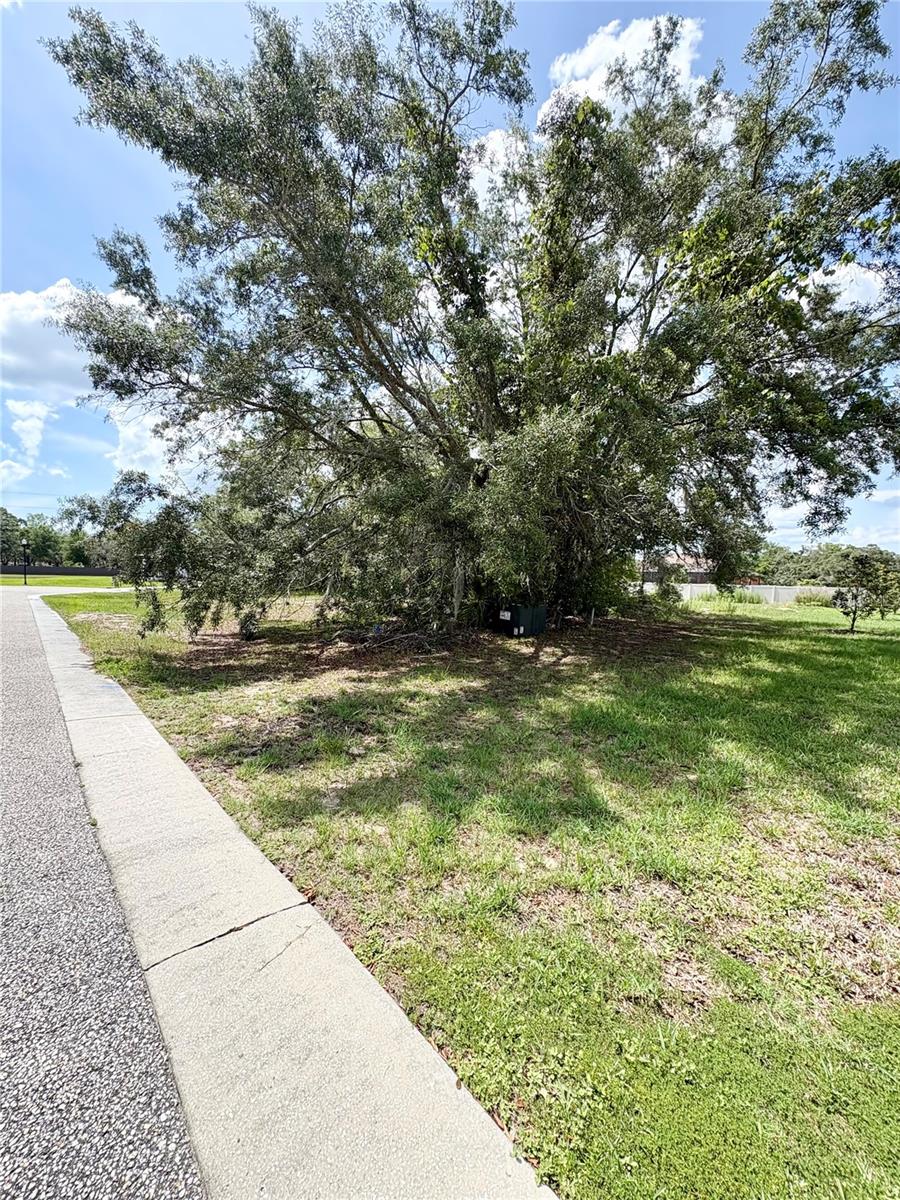 9925 REINDEER CT, SPRING HILL, FL — photo 7