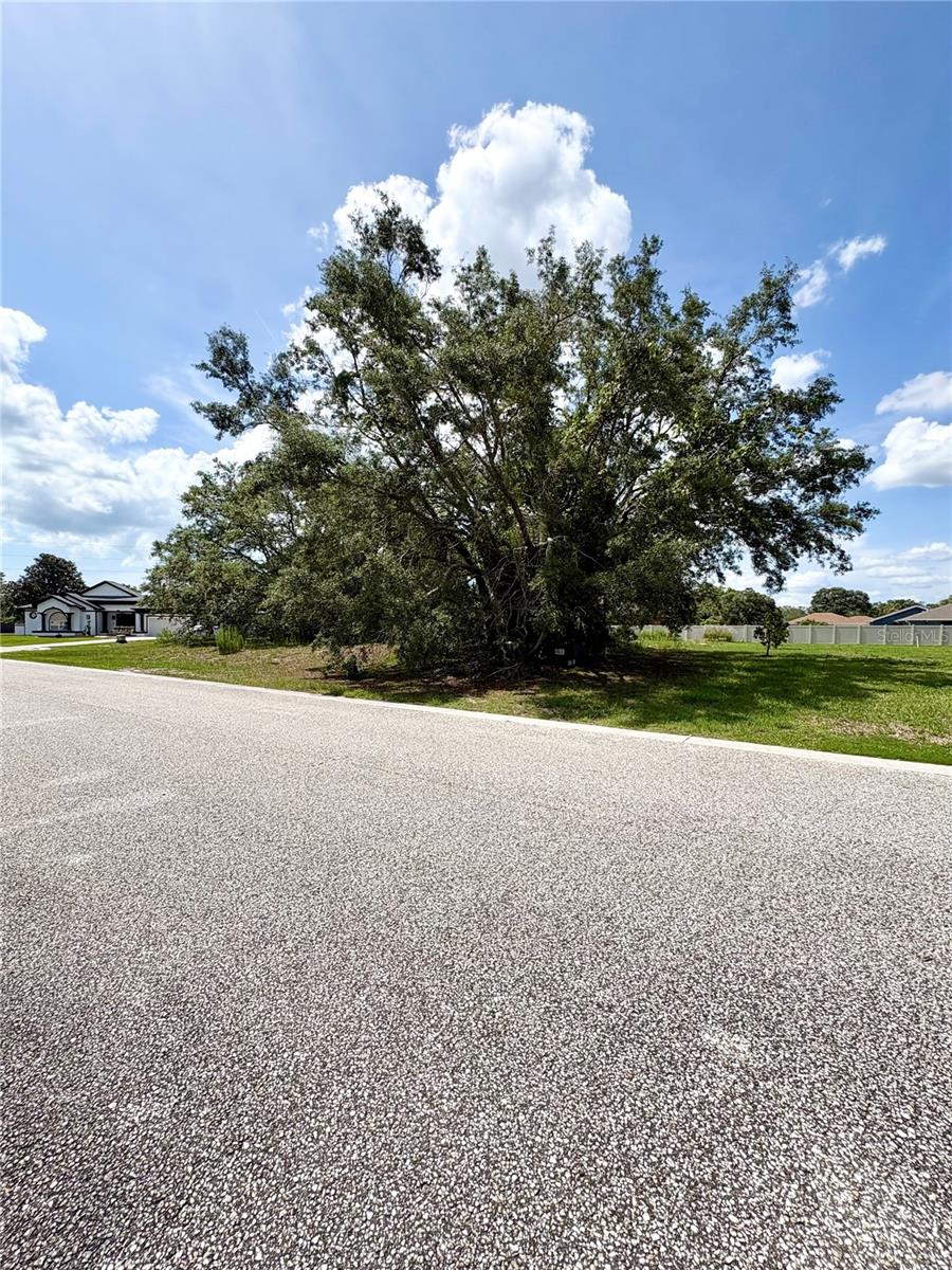 9925 REINDEER CT, SPRING HILL, FL — photo 8