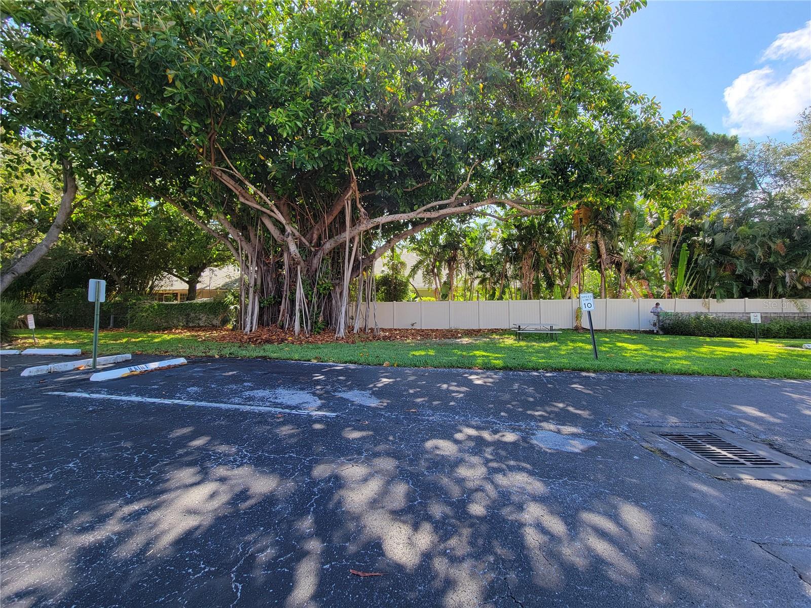 4880 LOCUST ST. NE #136, ST PETERSBURG, FL — photo 36