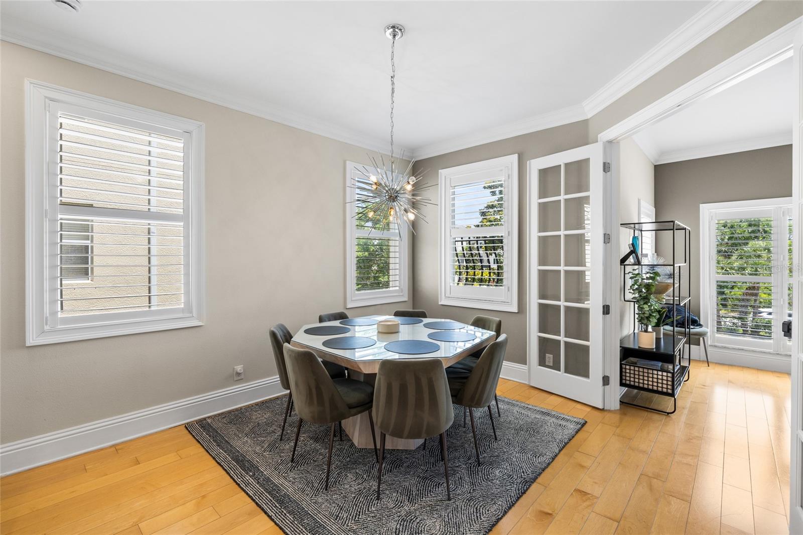 1171 VENETIAN HARBOR DR NE, ST PETERSBURG, FL — photo 17