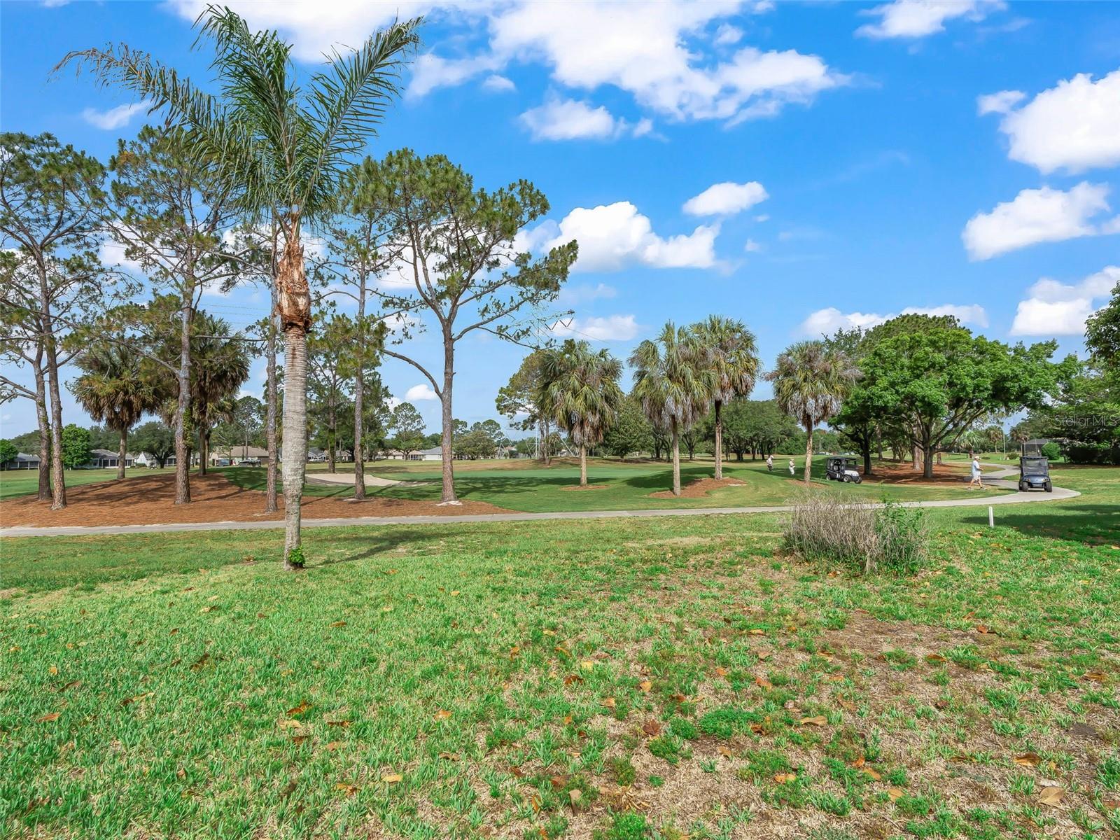 722 CAMINO DEL REY DR, THE VILLAGES, FL — photo 25
