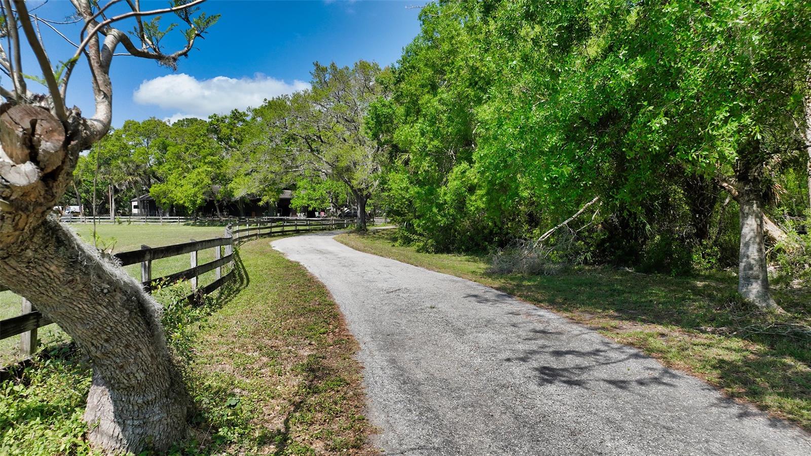 7025 CLARK RD, SARASOTA, FL — photo 14