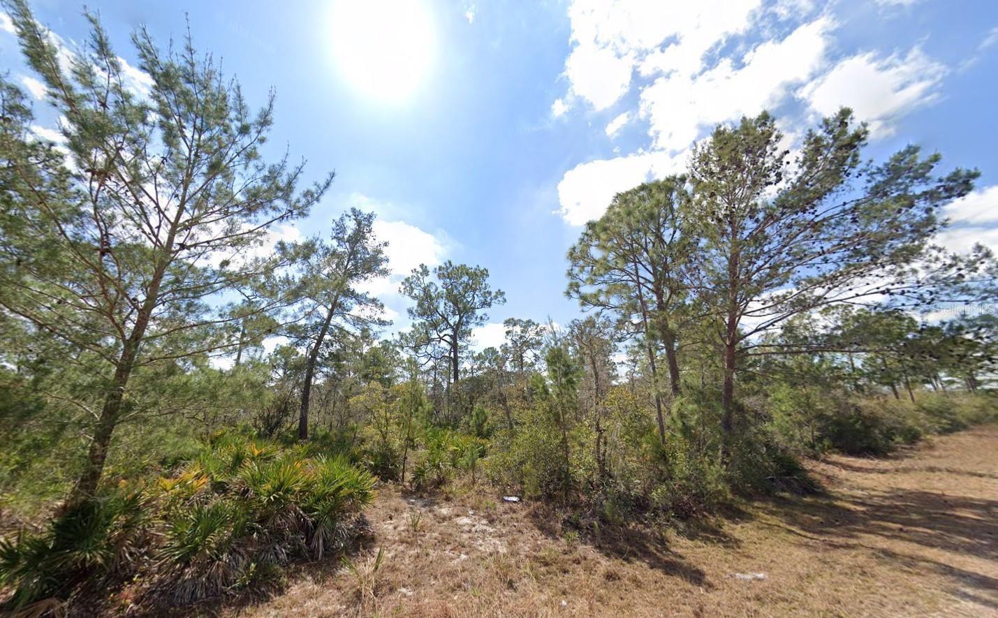3049 CEDAR HILL AVE, LAKE PLACID, FL
