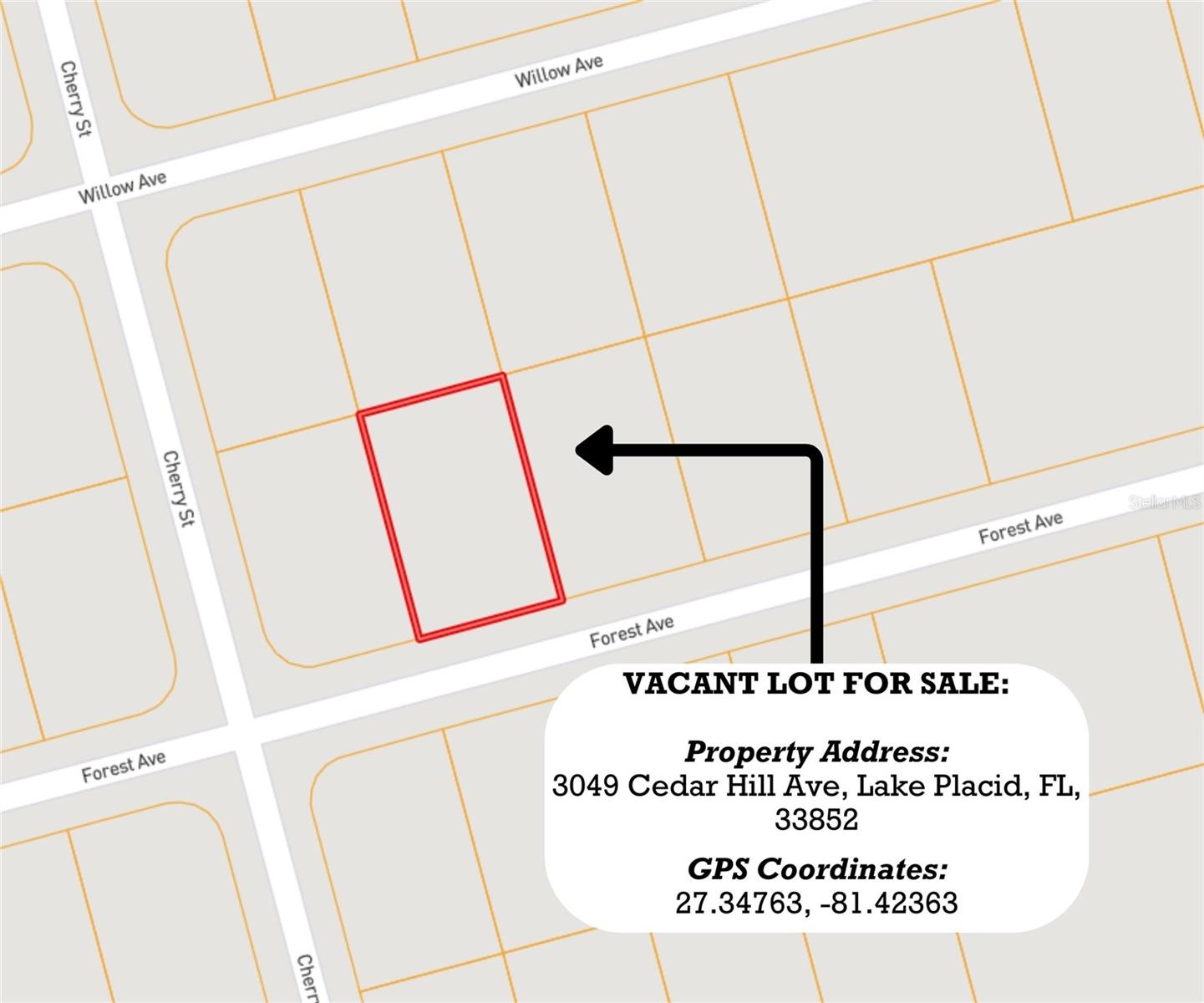 3049 CEDAR HILL AVE, LAKE PLACID, FL — photo 8