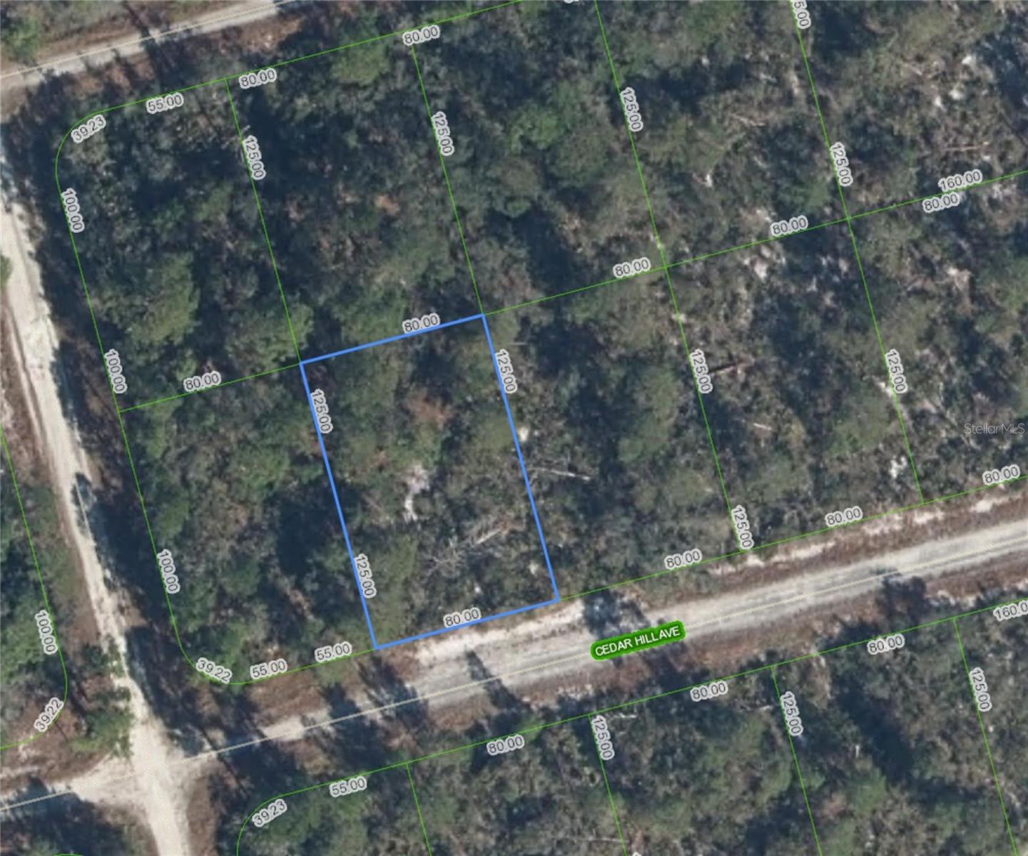 3049 CEDAR HILL AVE, LAKE PLACID, FL — photo 11