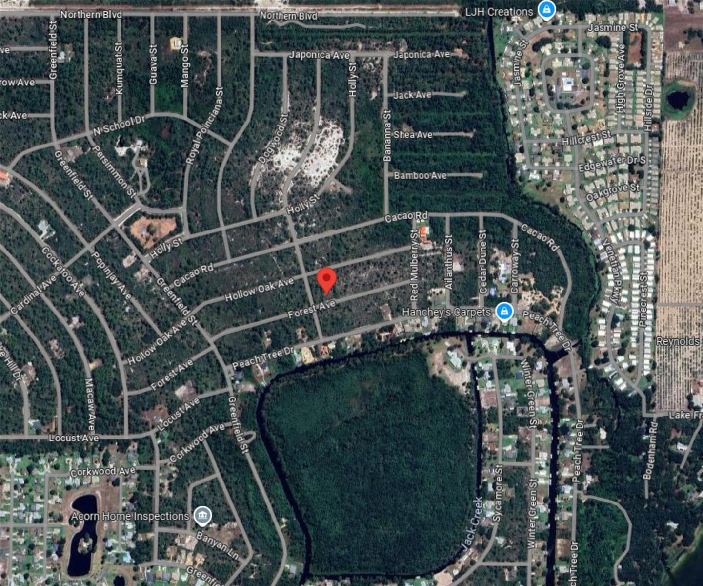 3049 CEDAR HILL AVE, LAKE PLACID, FL — photo 15
