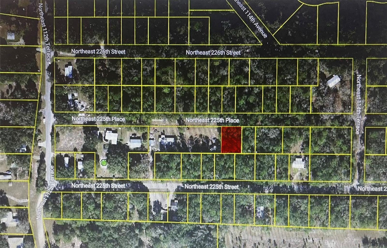 TBD NE 225TH PLACE, FORT MC COY, FL