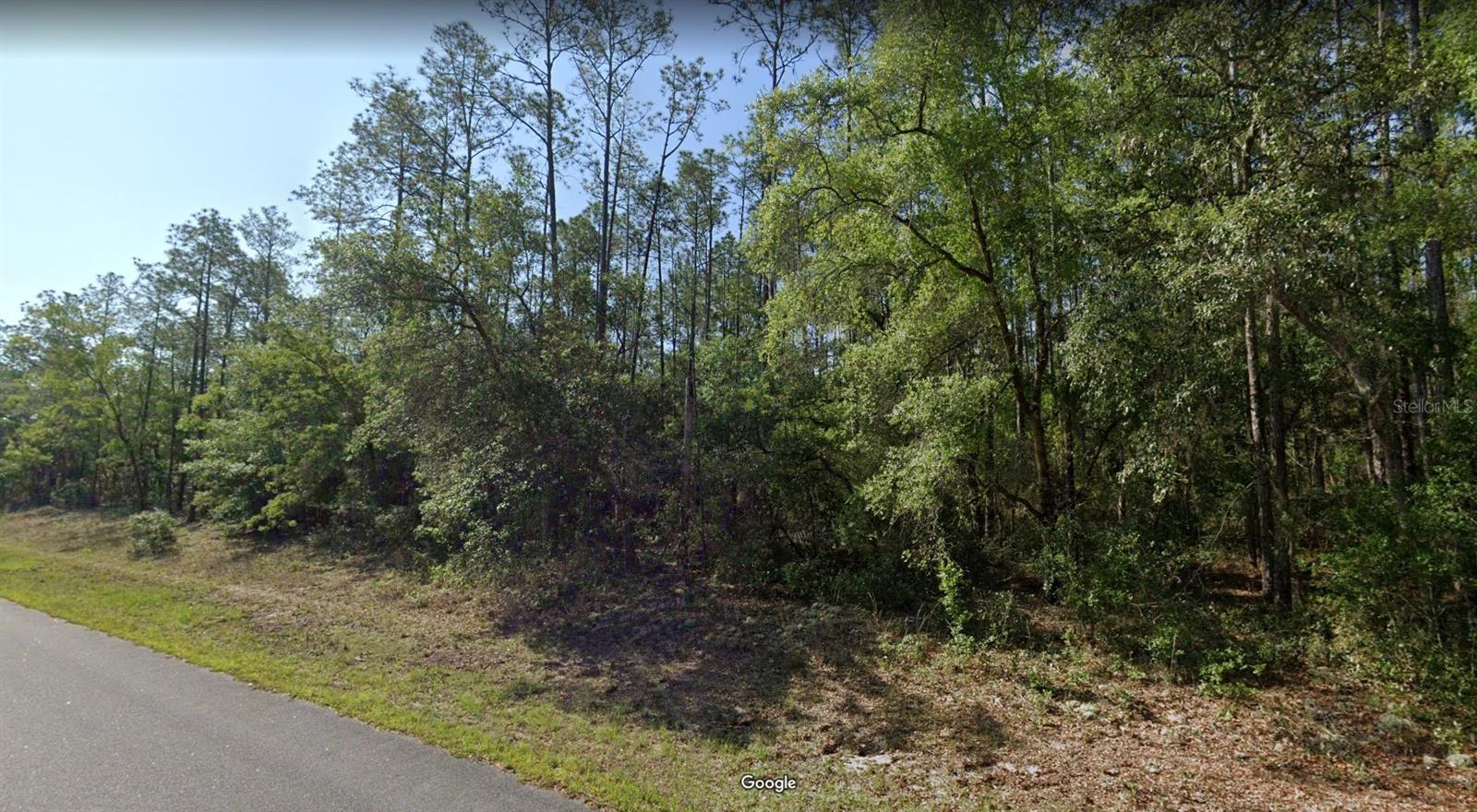 546 E BIMINI DR, DUNNELLON, FL