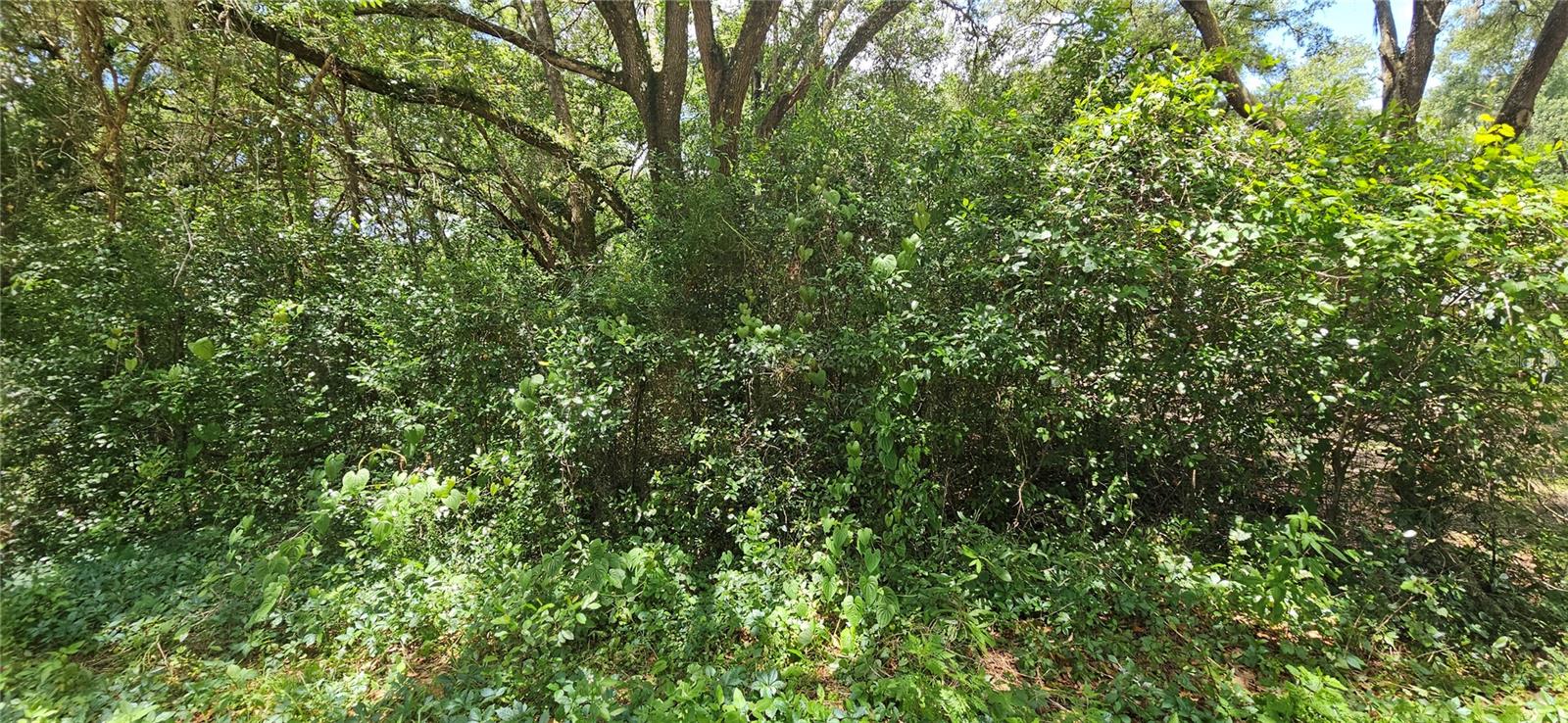 SE 27TH CT, SUMMERFIELD, FL — photo 2