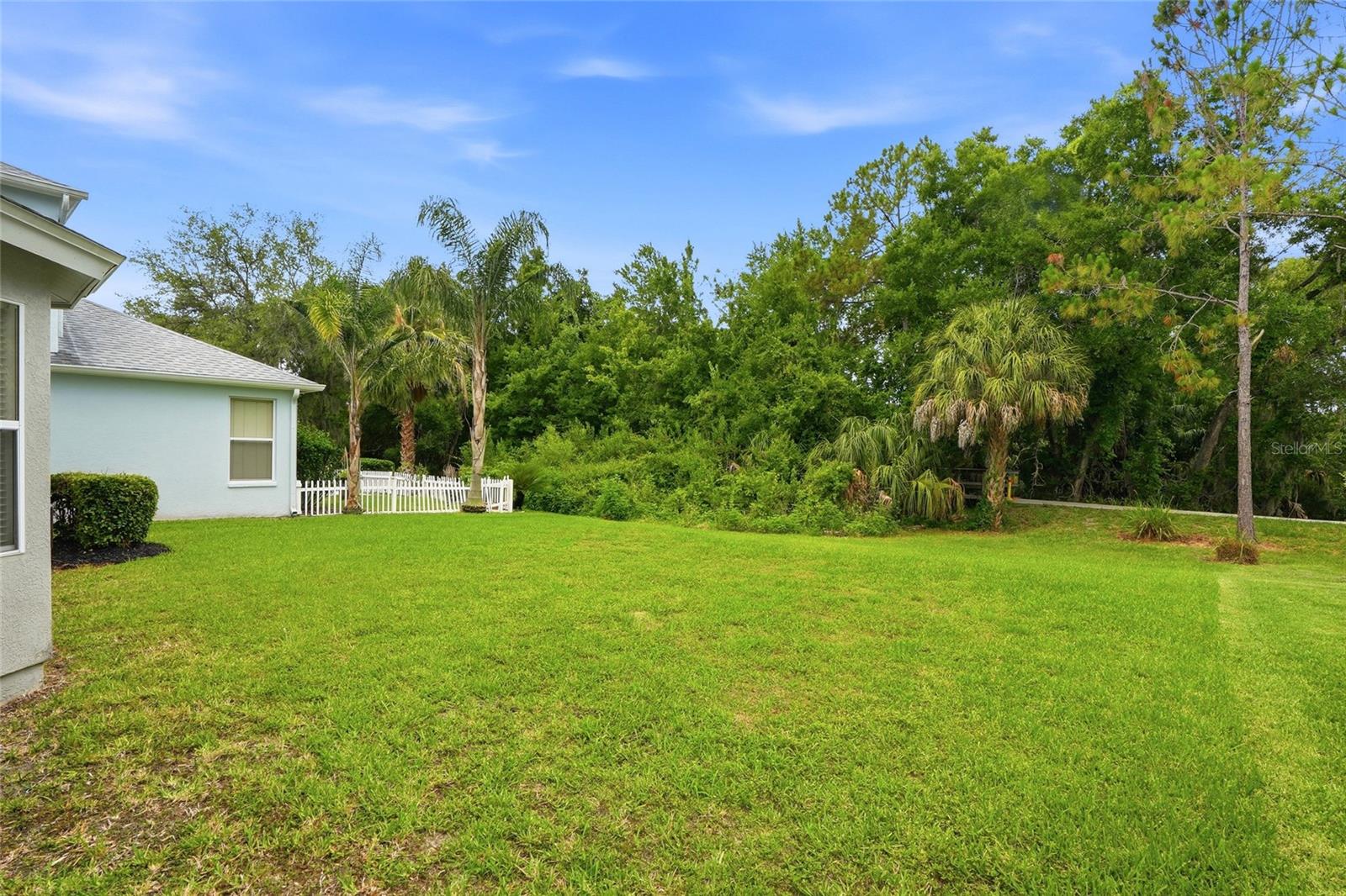 3203 SUNWATCH DR, WESLEY CHAPEL, FL — photo 38