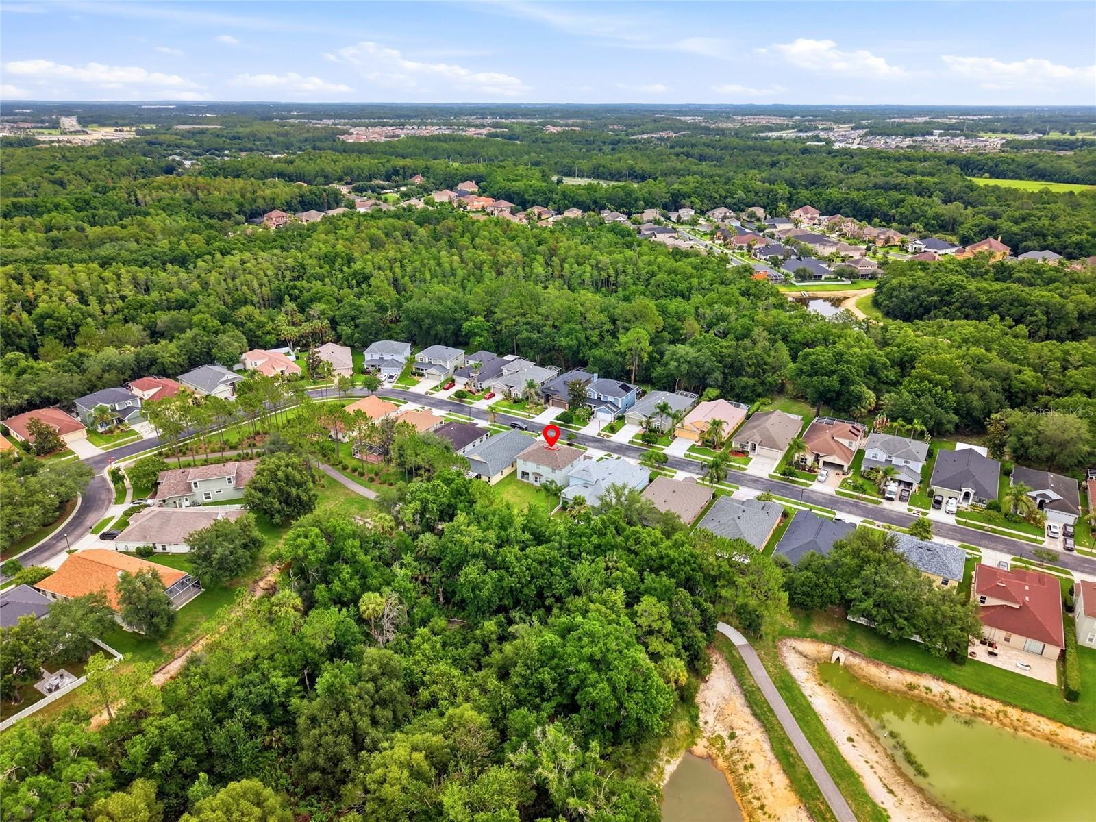 3203 SUNWATCH DR, WESLEY CHAPEL, FL — photo 46
