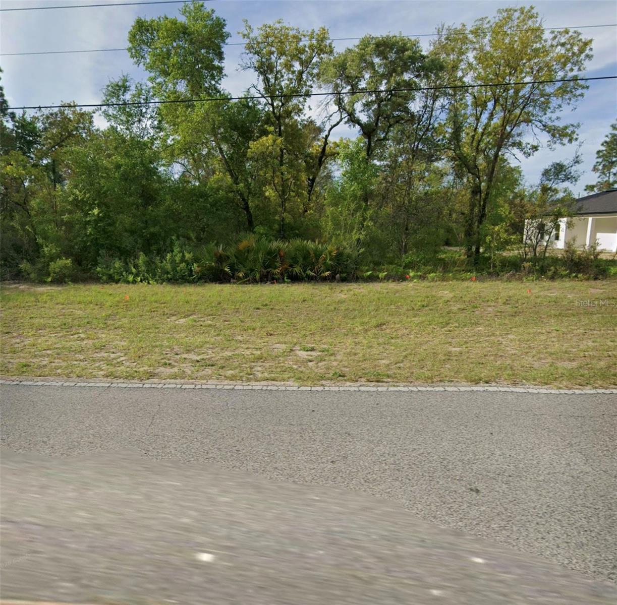 2488 W CITRUS SPRINGS BLVD, CITRUS SPRINGS, FL — photo 3