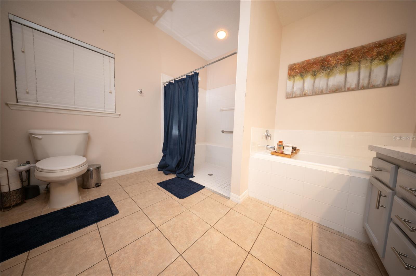 8032 ACADIA ESTATES CT, KISSIMMEE, FL — photo 28