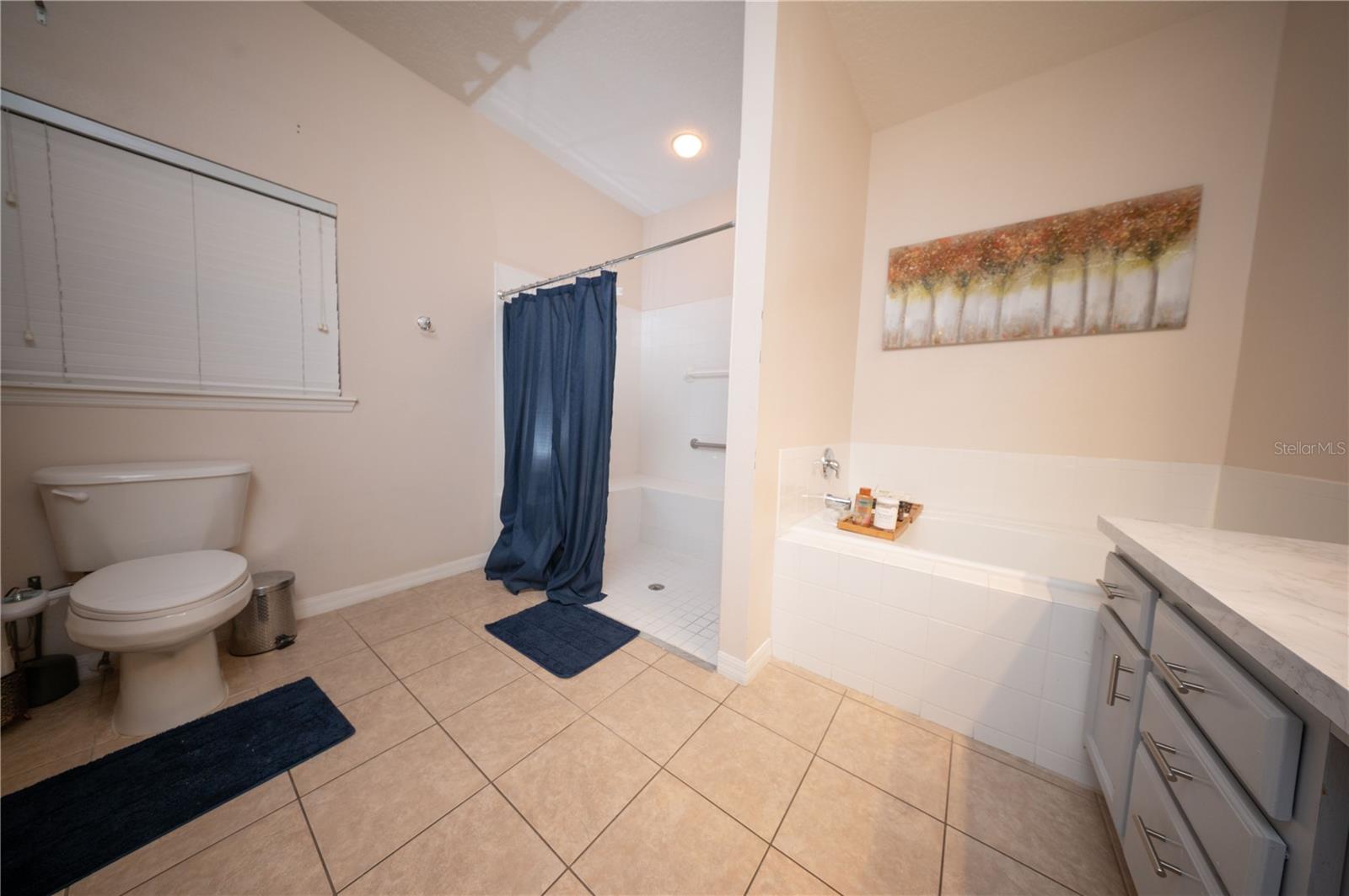 8032 ACADIA ESTATES CT, KISSIMMEE, FL — photo 29