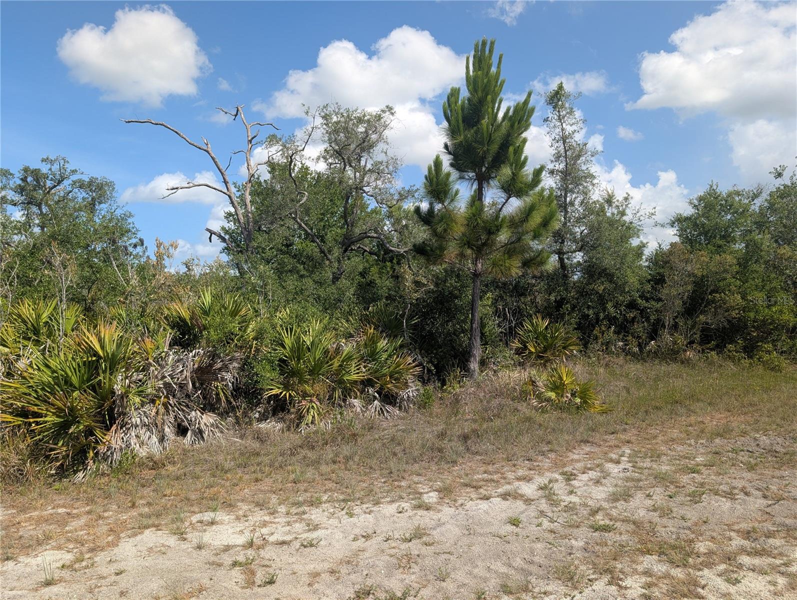 LAKELAND DR, INDIAN LAKE ESTATES, FL — photo 2