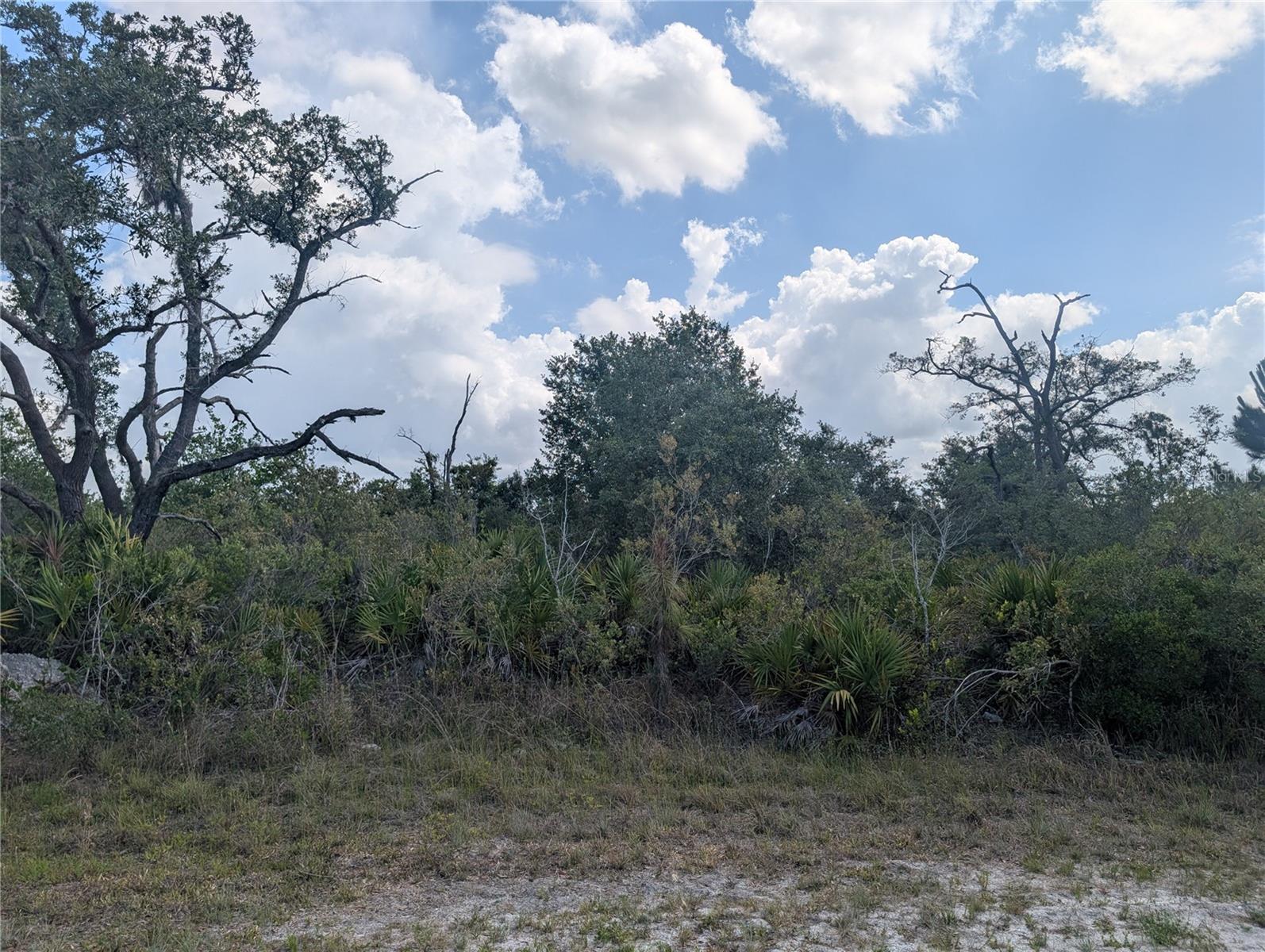 LAKELAND DR, INDIAN LAKE ESTATES, FL — photo 6