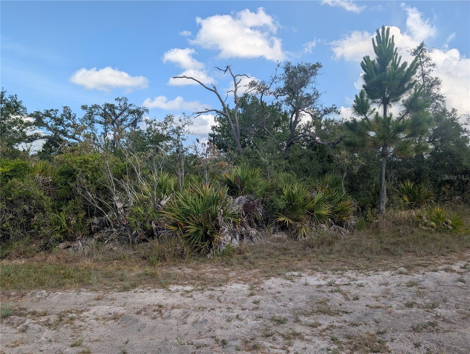 LAKELAND DR, INDIAN LAKE ESTATES, FL — photo 7
