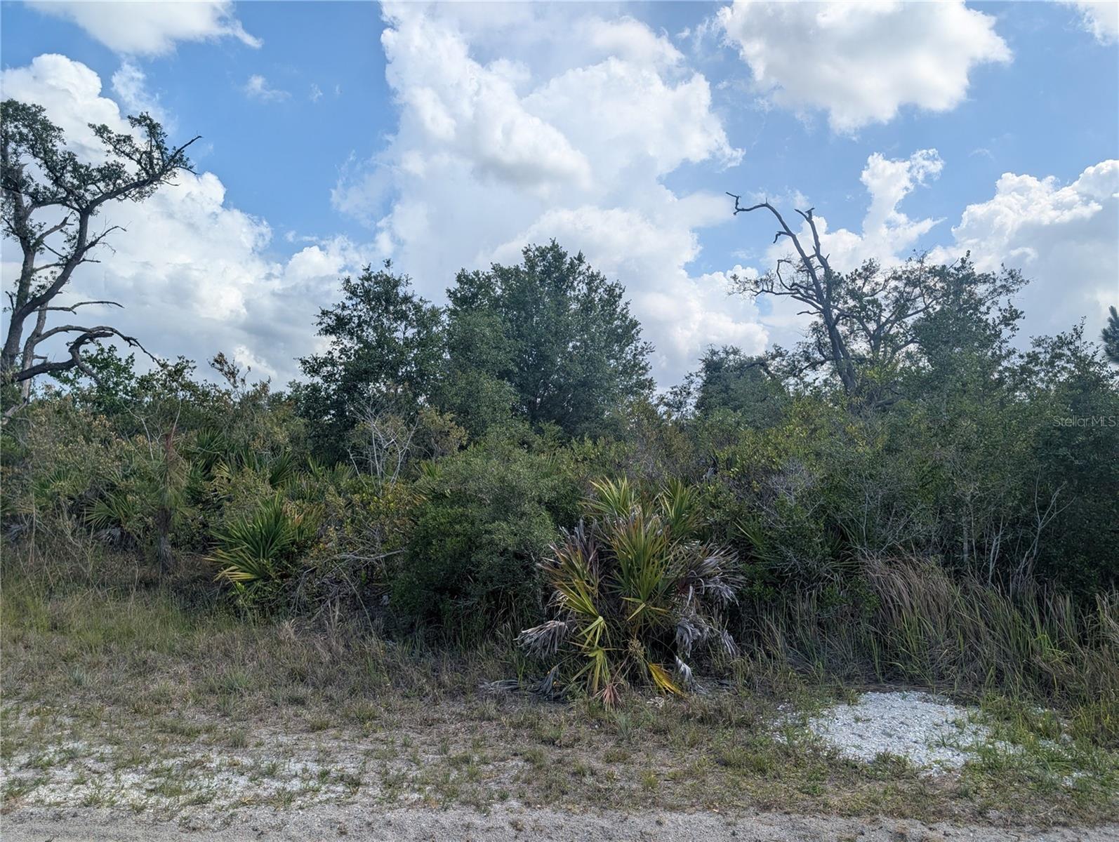 LAKELAND DR, INDIAN LAKE ESTATES, FL — photo 8