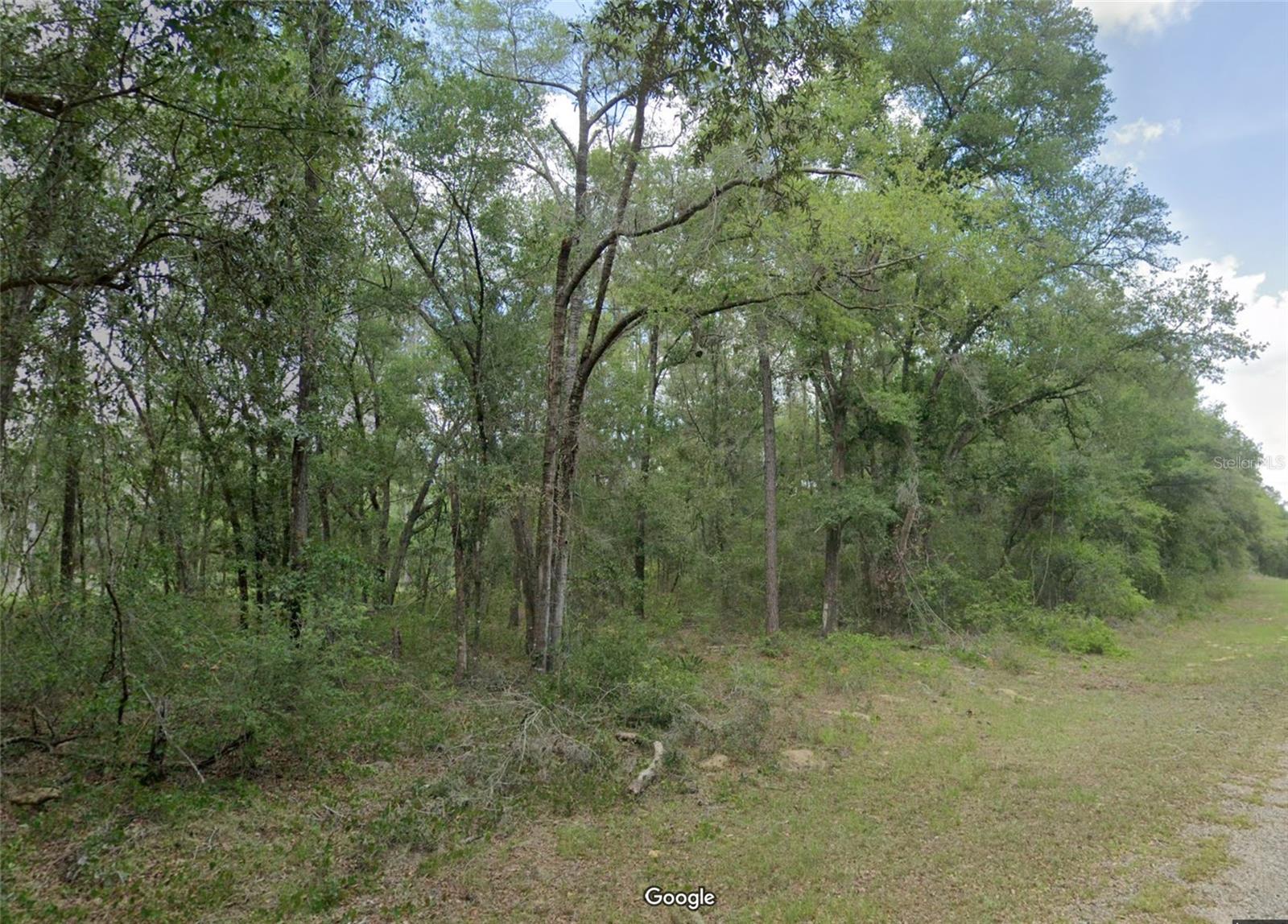 719 E BYRD LOOP, DUNNELLON, FL