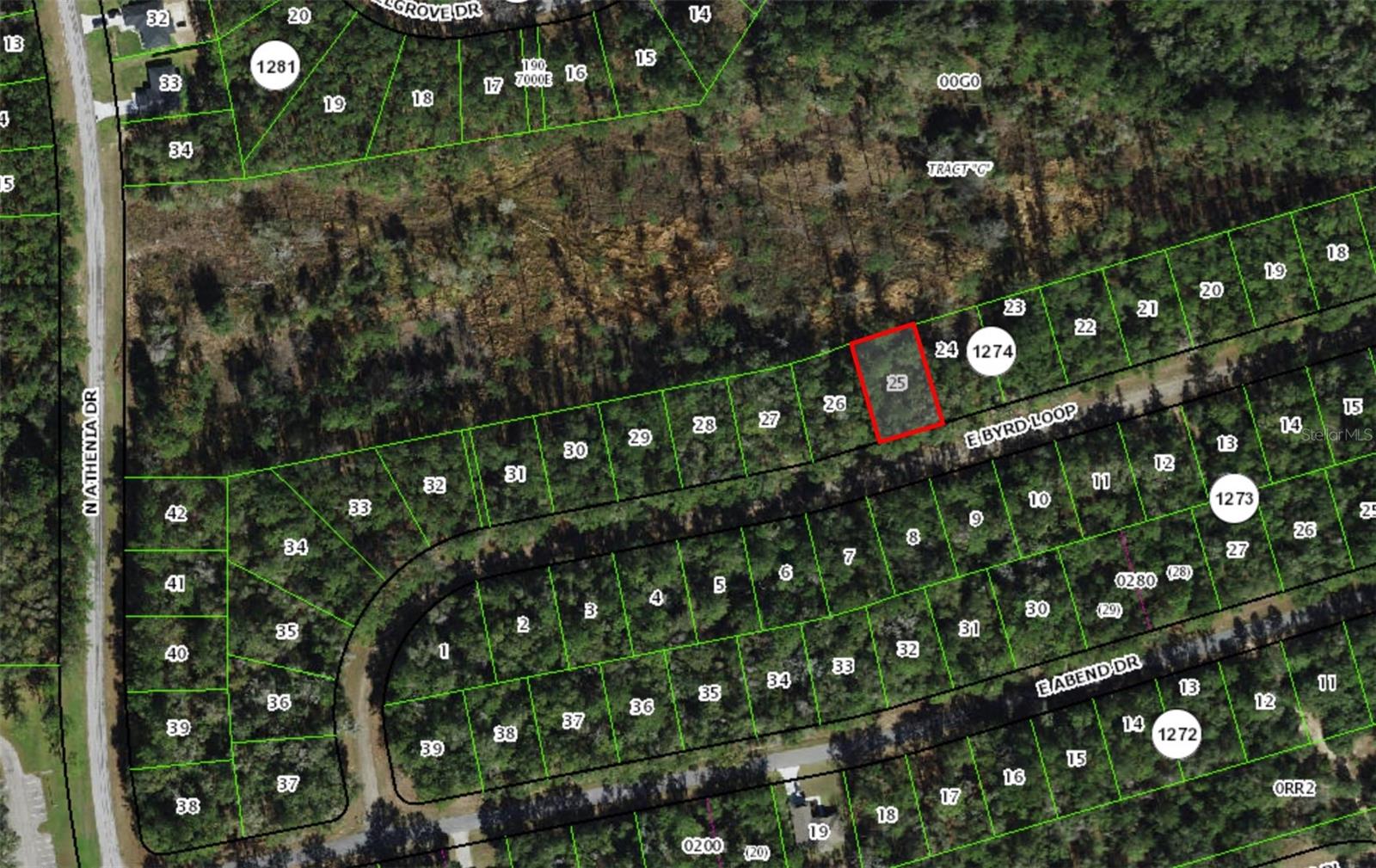 719 E BYRD LOOP, DUNNELLON, FL — photo 5