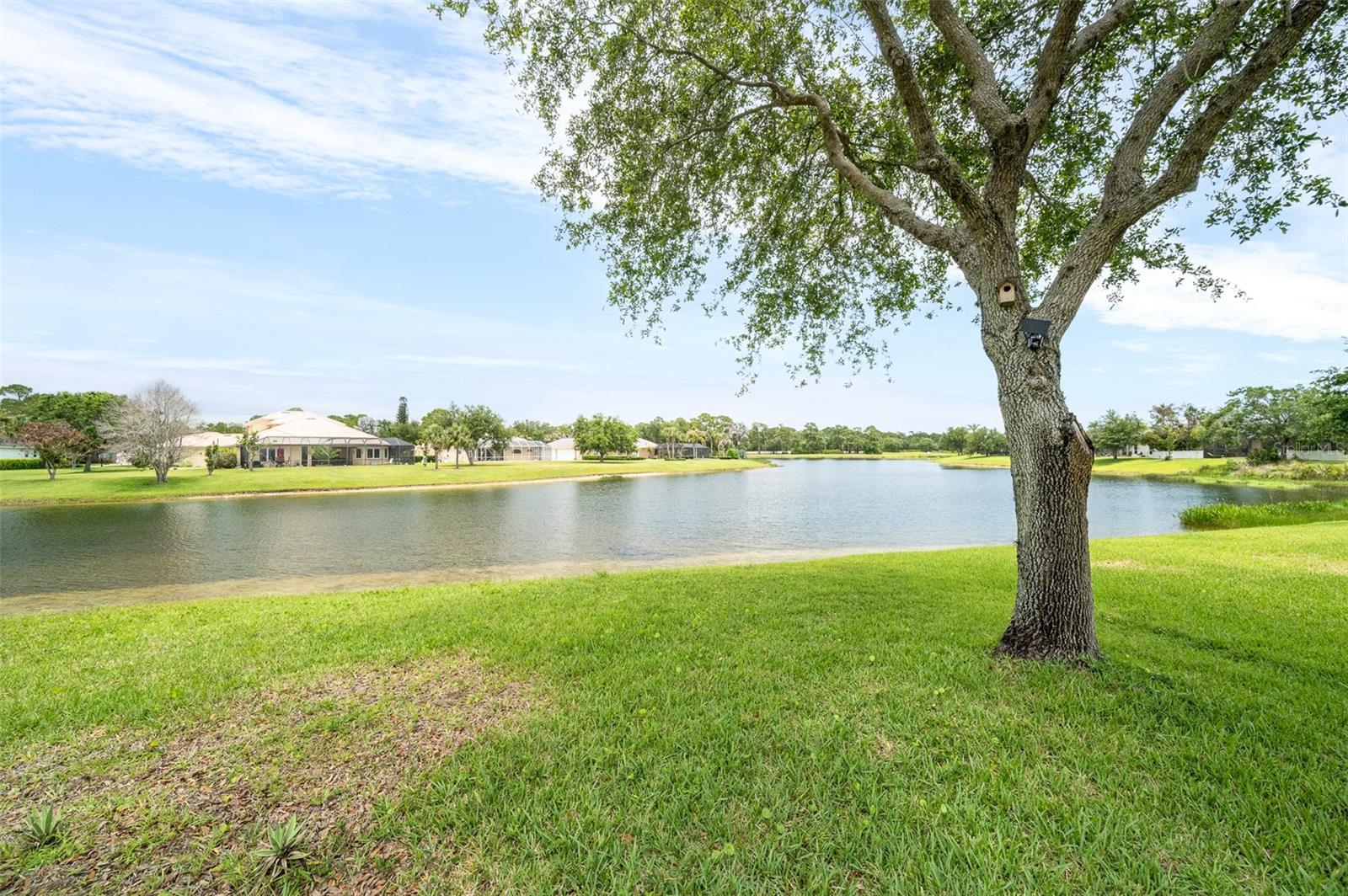 241 DEVLIN CT, PALM BAY, FL — photo 46