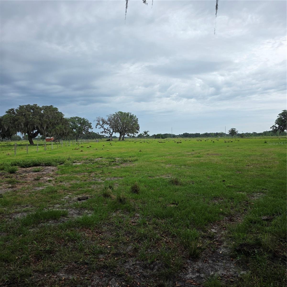 VERNON DAIRY, SPRING HILL, FL