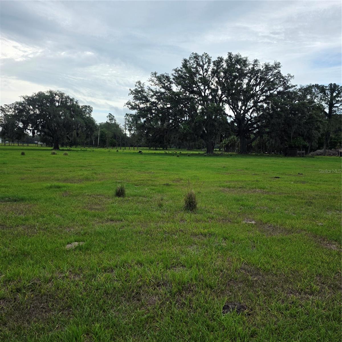 VERNON DAIRY, SPRING HILL, FL — photo 2