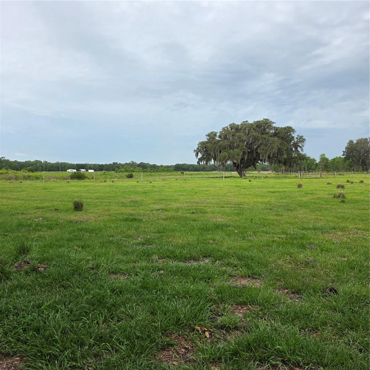 VERNON DAIRY, SPRING HILL, FL — photo 3