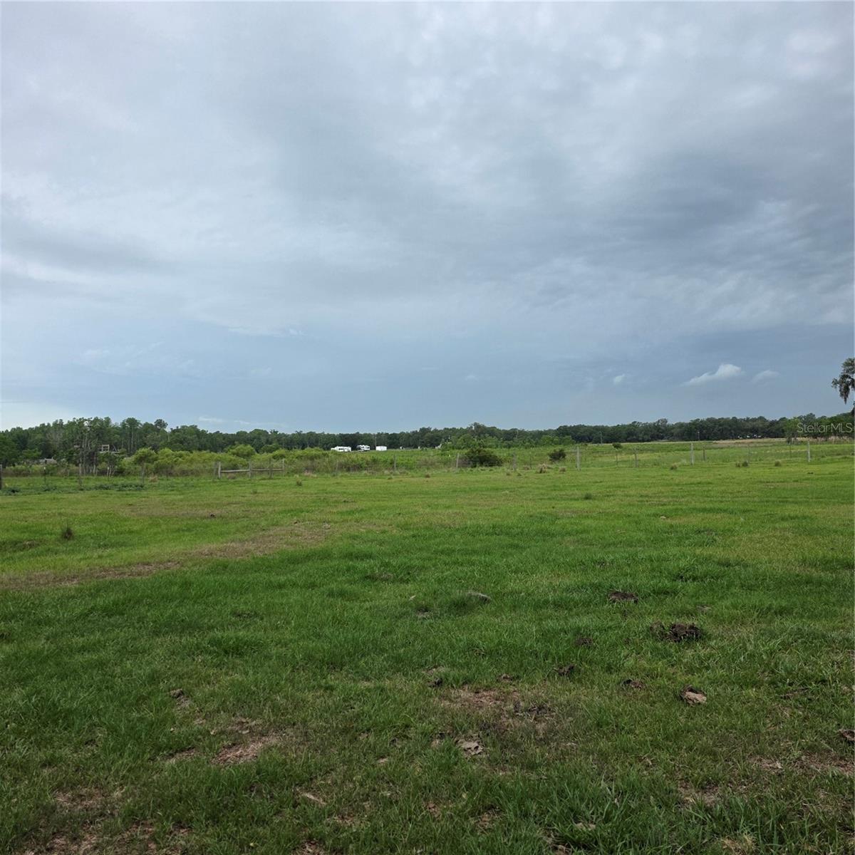 VERNON DAIRY, SPRING HILL, FL — photo 4