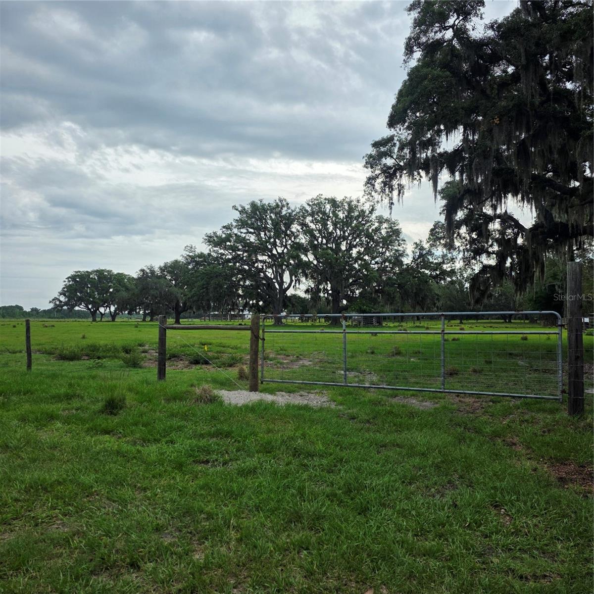 VERNON DAIRY, SPRING HILL, FL — photo 6