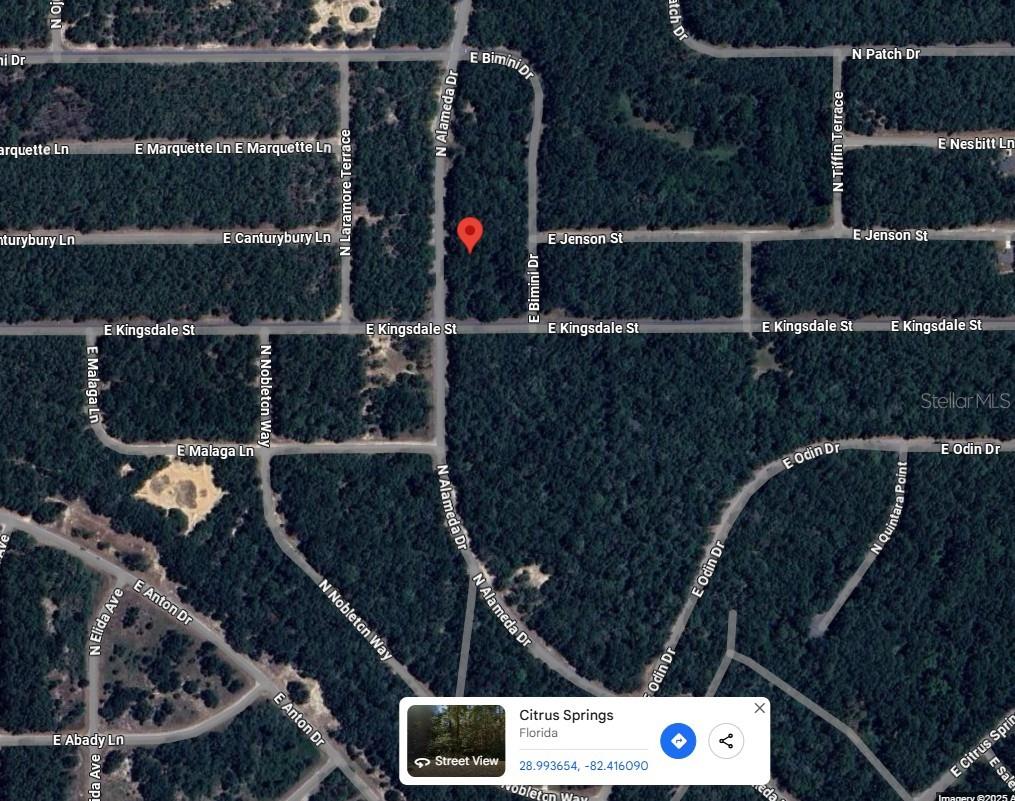 9085 N ALAMEDA DR, CITRUS SPRINGS, FL — photo 2