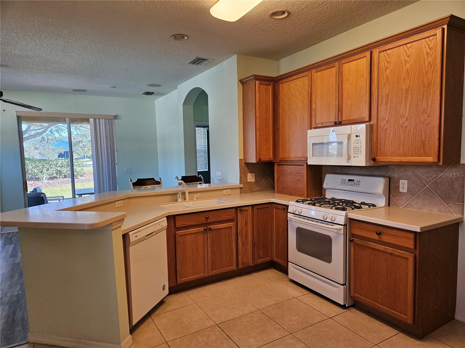 1161 JAMESON GREENS DR, SUN CITY CENTER, FL — photo 9