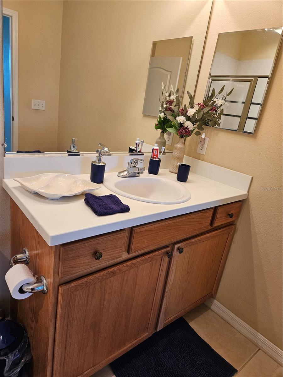 1161 JAMESON GREENS DR, SUN CITY CENTER, FL — photo 22
