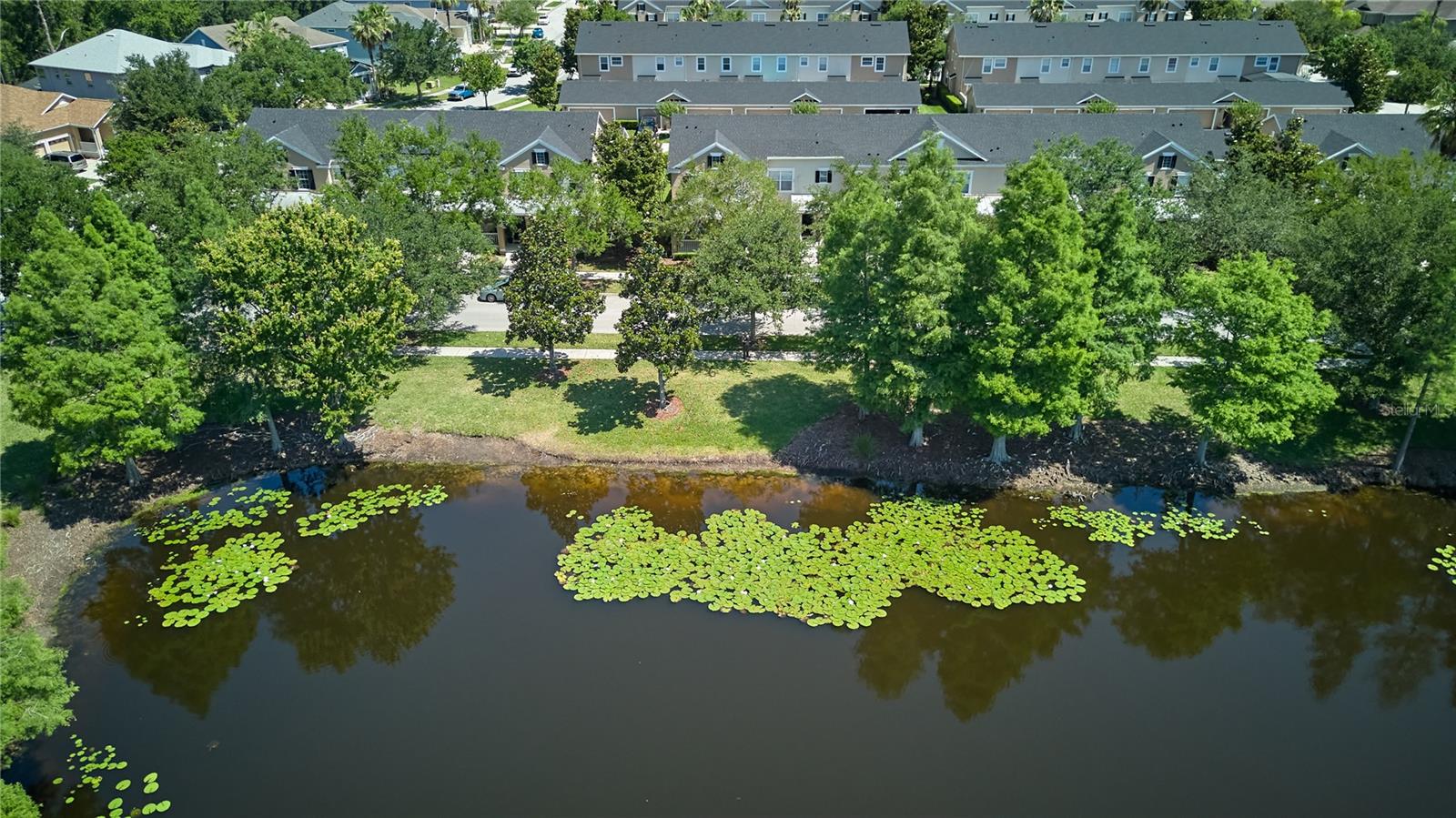 9135 CARDINAL MEADOW TRL, ORLANDO, FL — photo 31